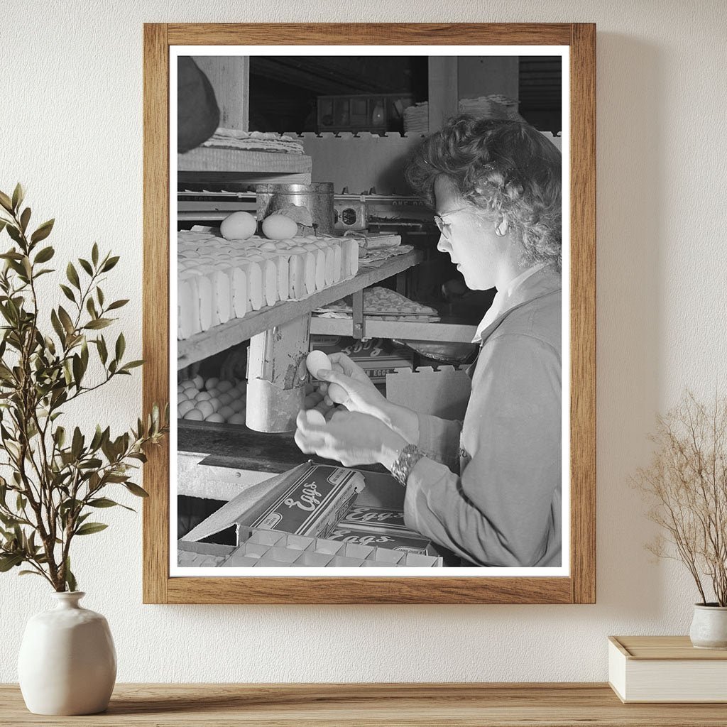 1942 Workers Candling Eggs in Petaluma Egg Packing Plant - Available at KNOWOL