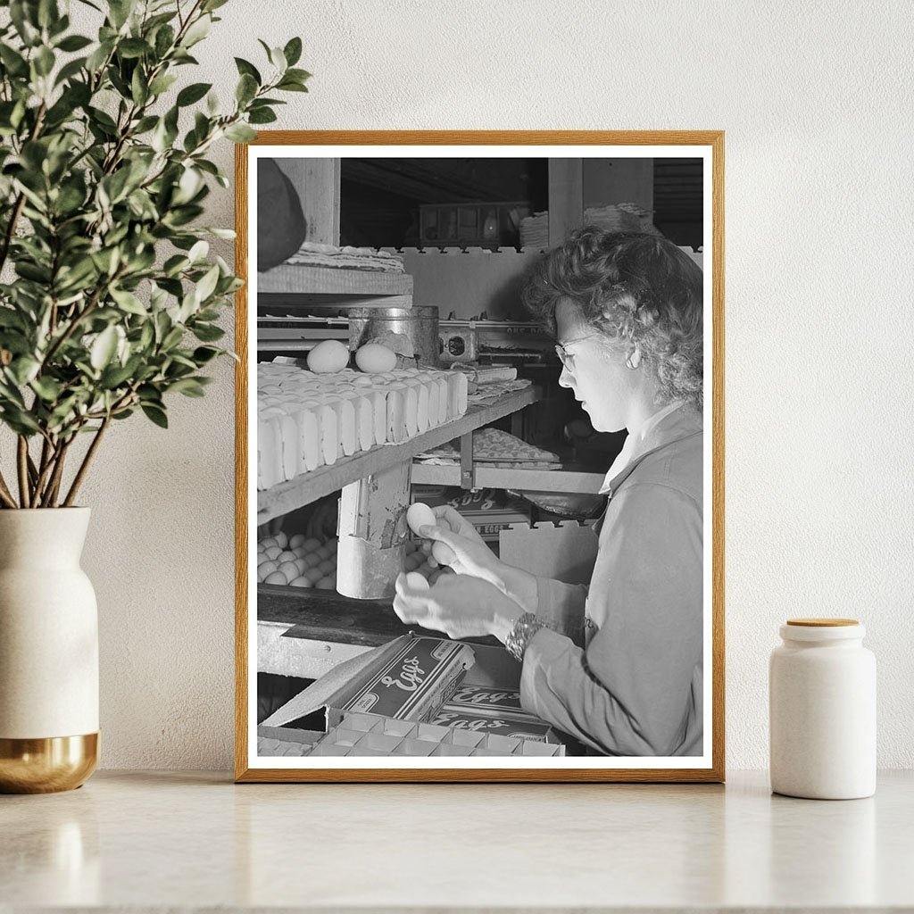 1942 Workers Candling Eggs in Petaluma Egg Packing Plant - Available at KNOWOL