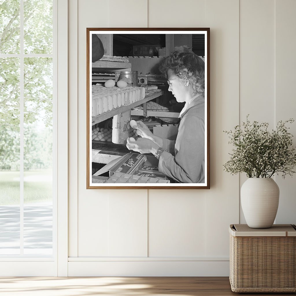 1942 Workers Candling Eggs in Petaluma Egg Packing Plant - Available at KNOWOL