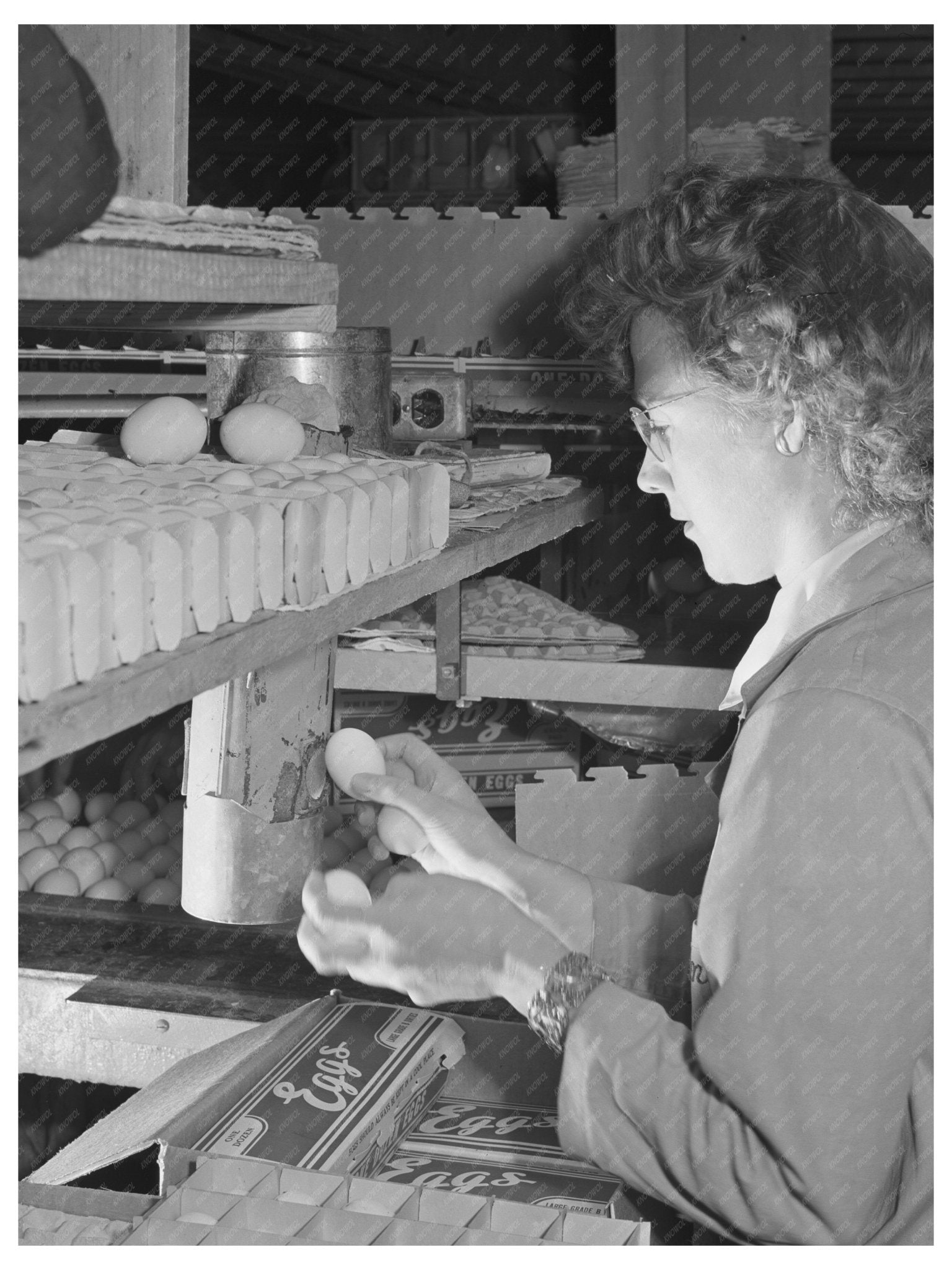 1942 Workers Candling Eggs in Petaluma Egg Packing Plant - Available at KNOWOL