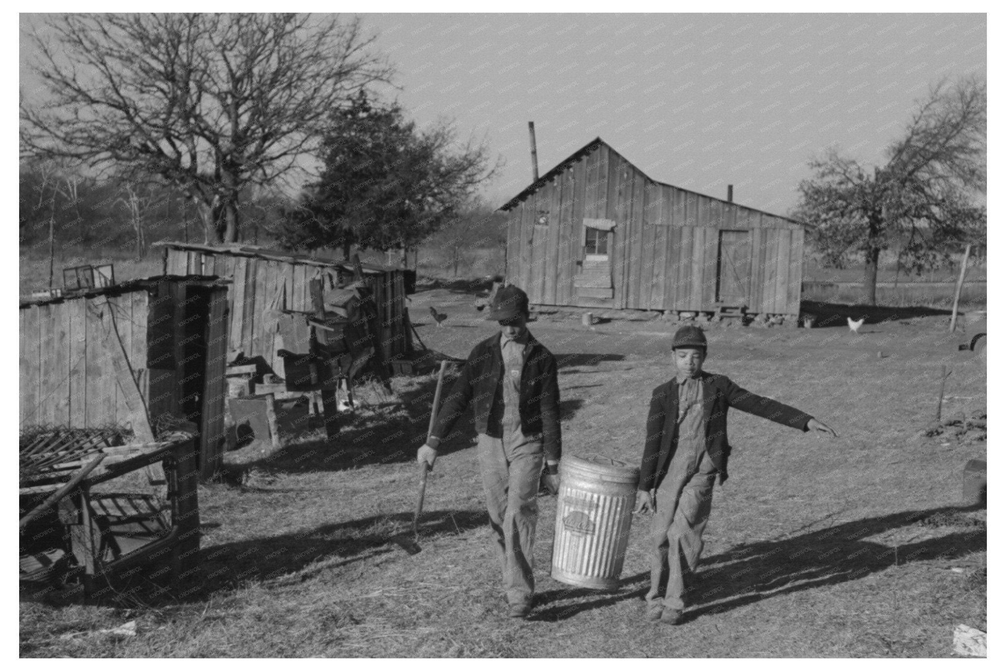 1944 Vintage Photo of Child Feeding Hogs in Oklahoma - Available at KNOWOL