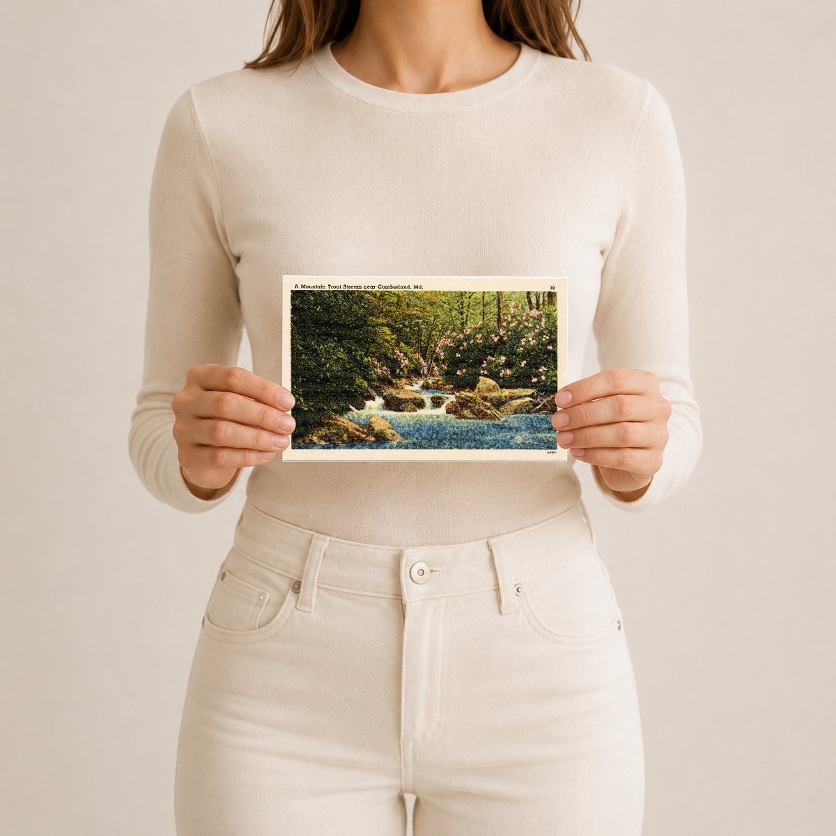 A mountain trout stream near Cumberland, MD — Vintage Maryland Postcard
