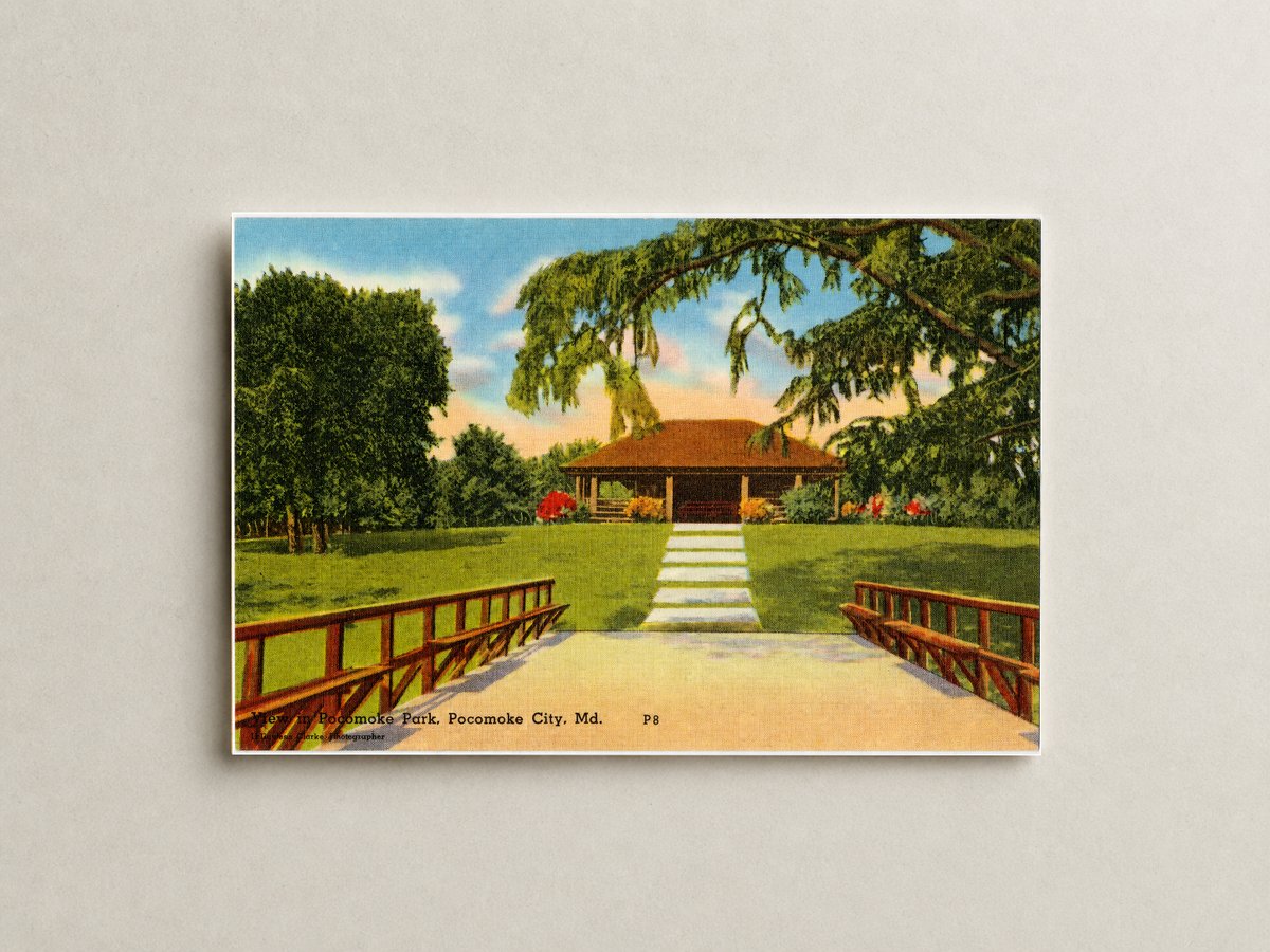 View in Pocomoke Park, Pocomoke City, MD — Vintage Maryland Postcard