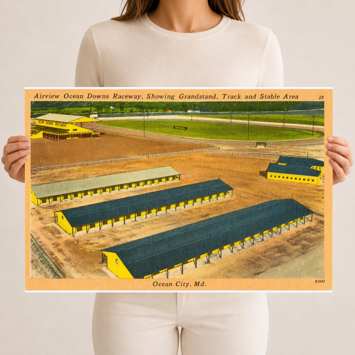 Airview Ocean Downs Raceway, showing grandstand, track and stable area, Ocean City, MD — Vintage Maryland Postcard