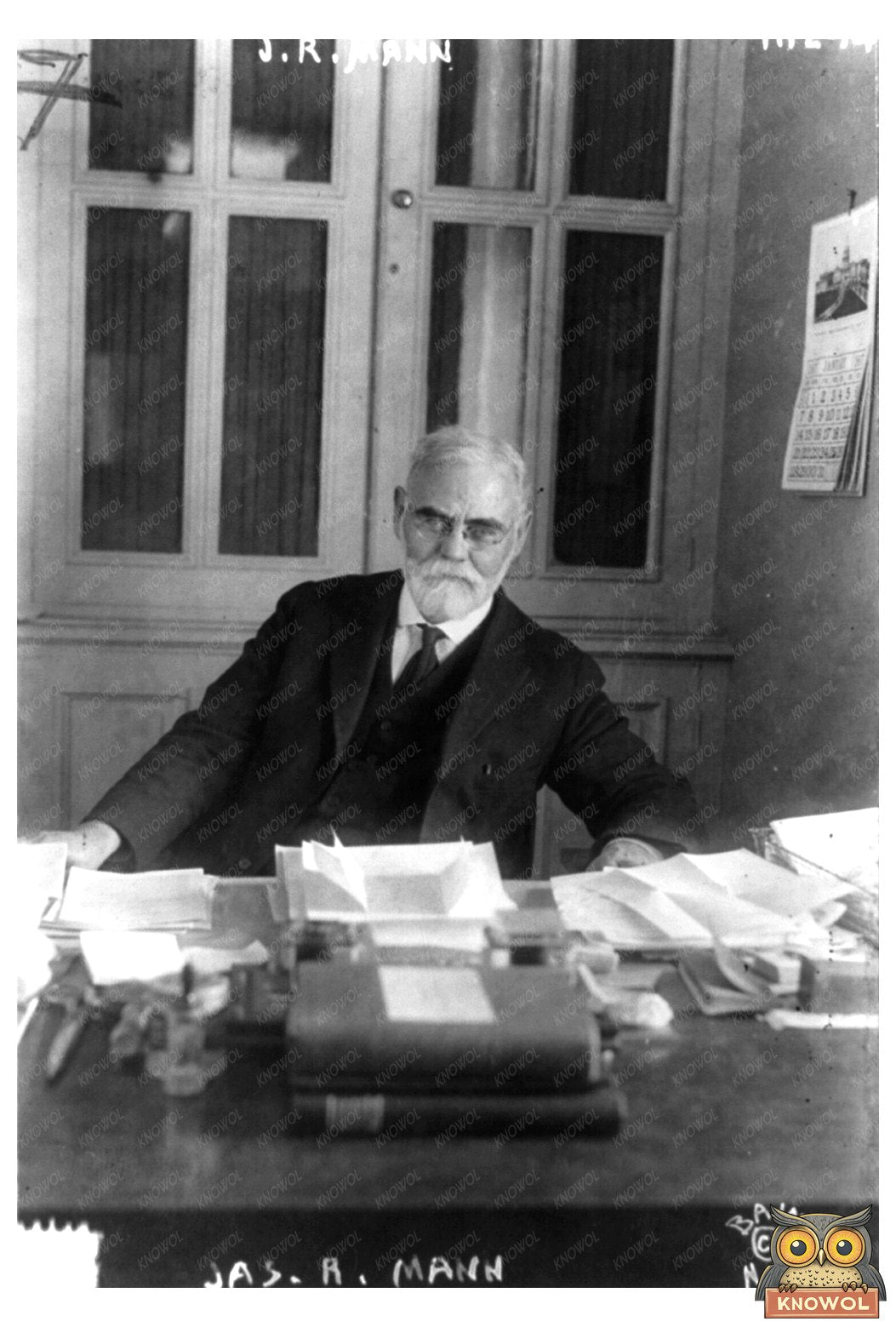 Portrait of a Pioneering Illinois Congressman, c. 1917