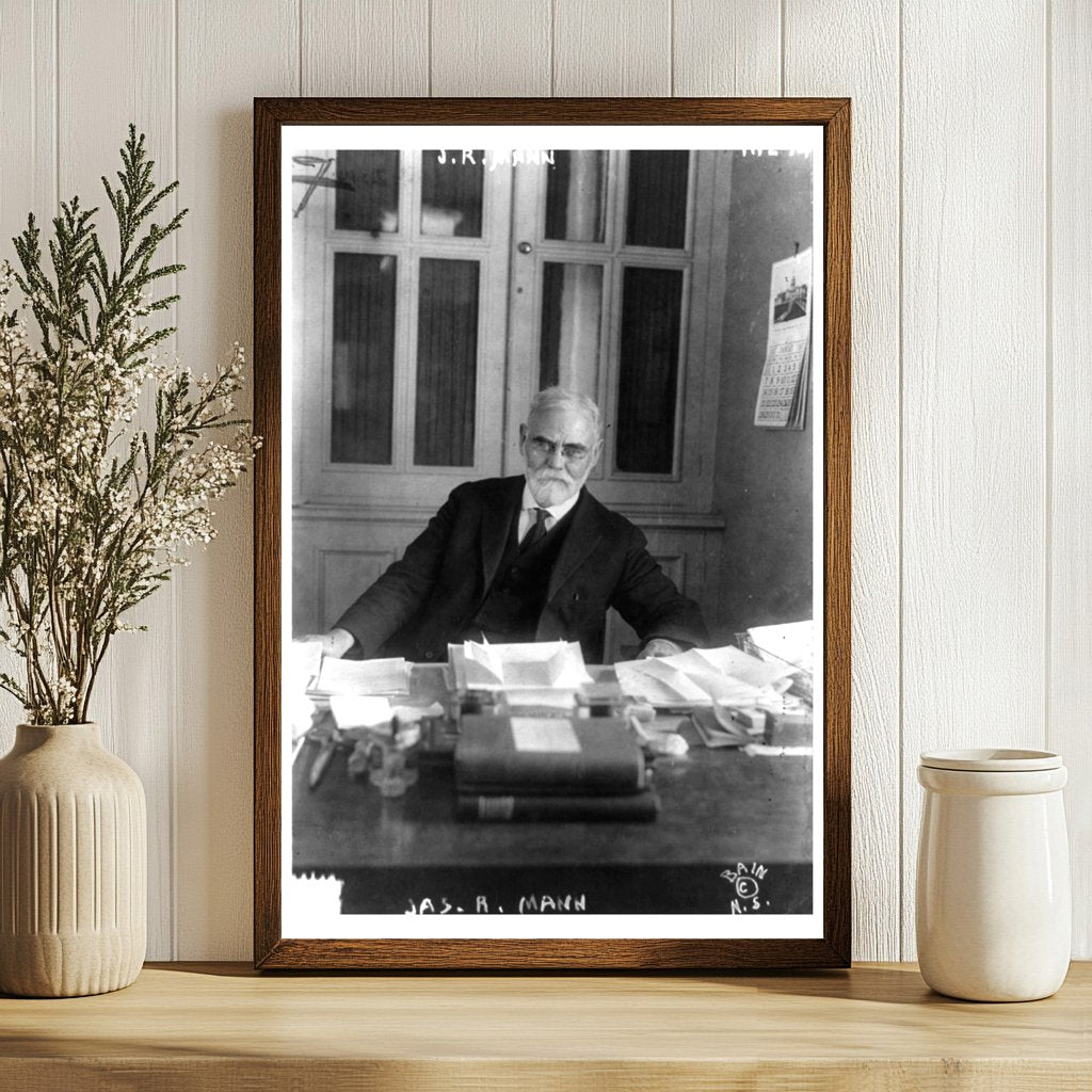 Portrait of a Pioneering Illinois Congressman, c. 1917
