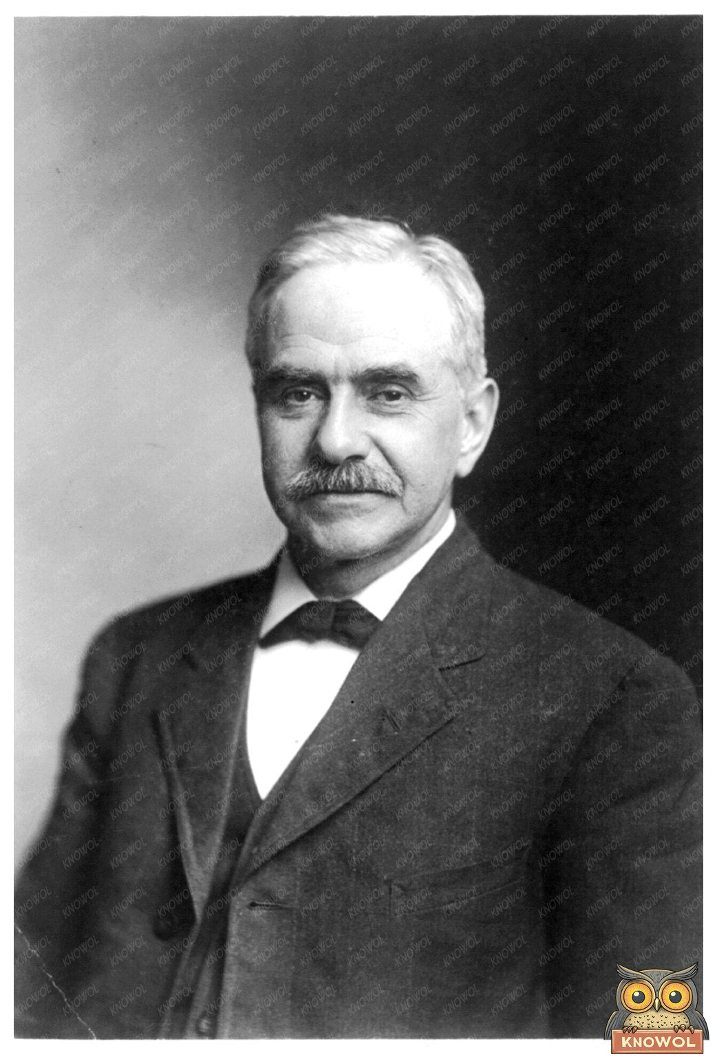 Vintage Portrait of Chicagos Esteemed Salesman Farwell
