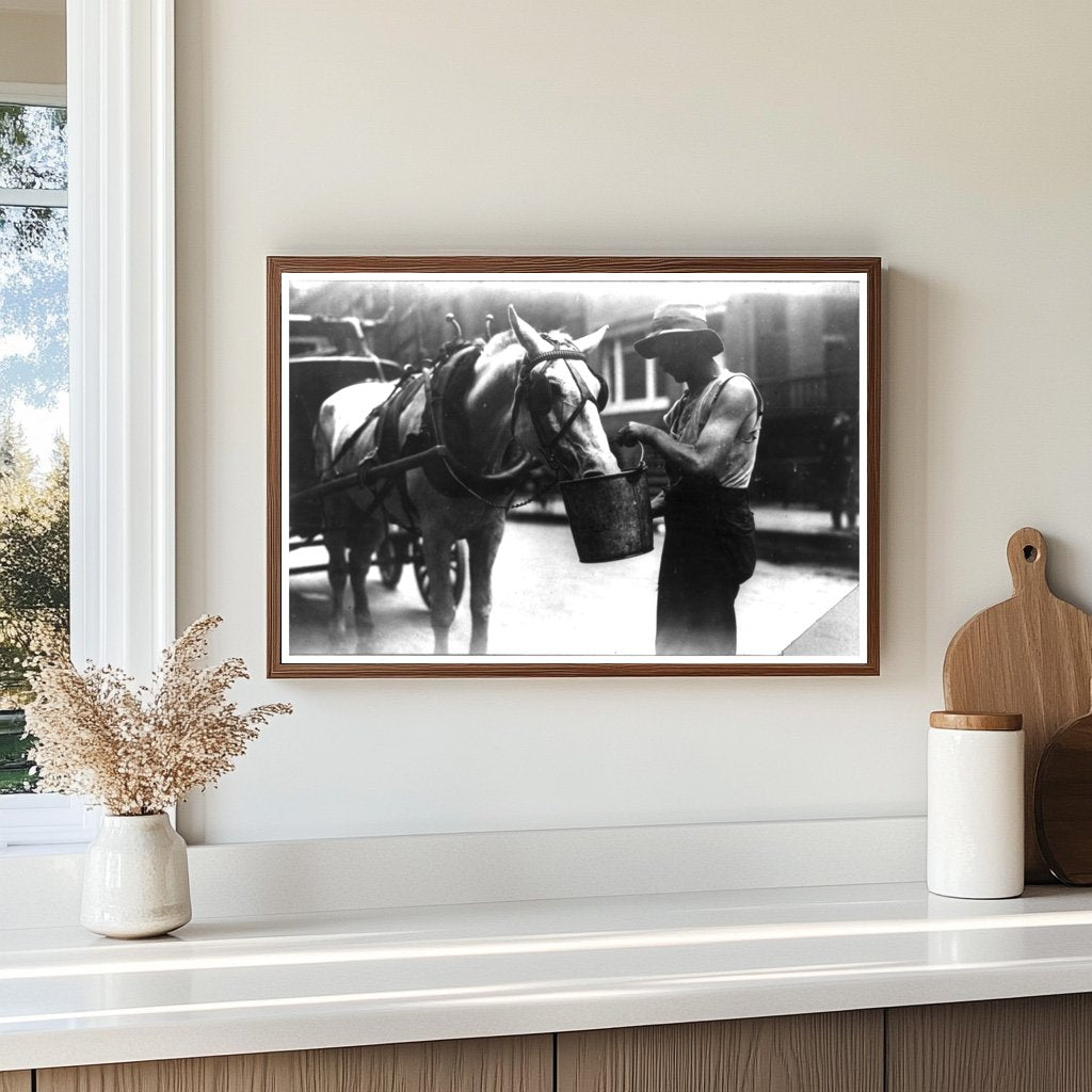 City Horse Refreshing in 1910 New York Scene