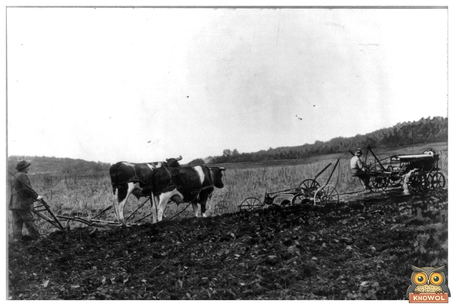Traditional vs. Modern Farming: A Visual Contrast