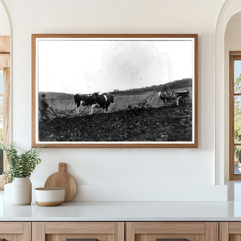 Traditional vs. Modern Farming: A Visual Contrast