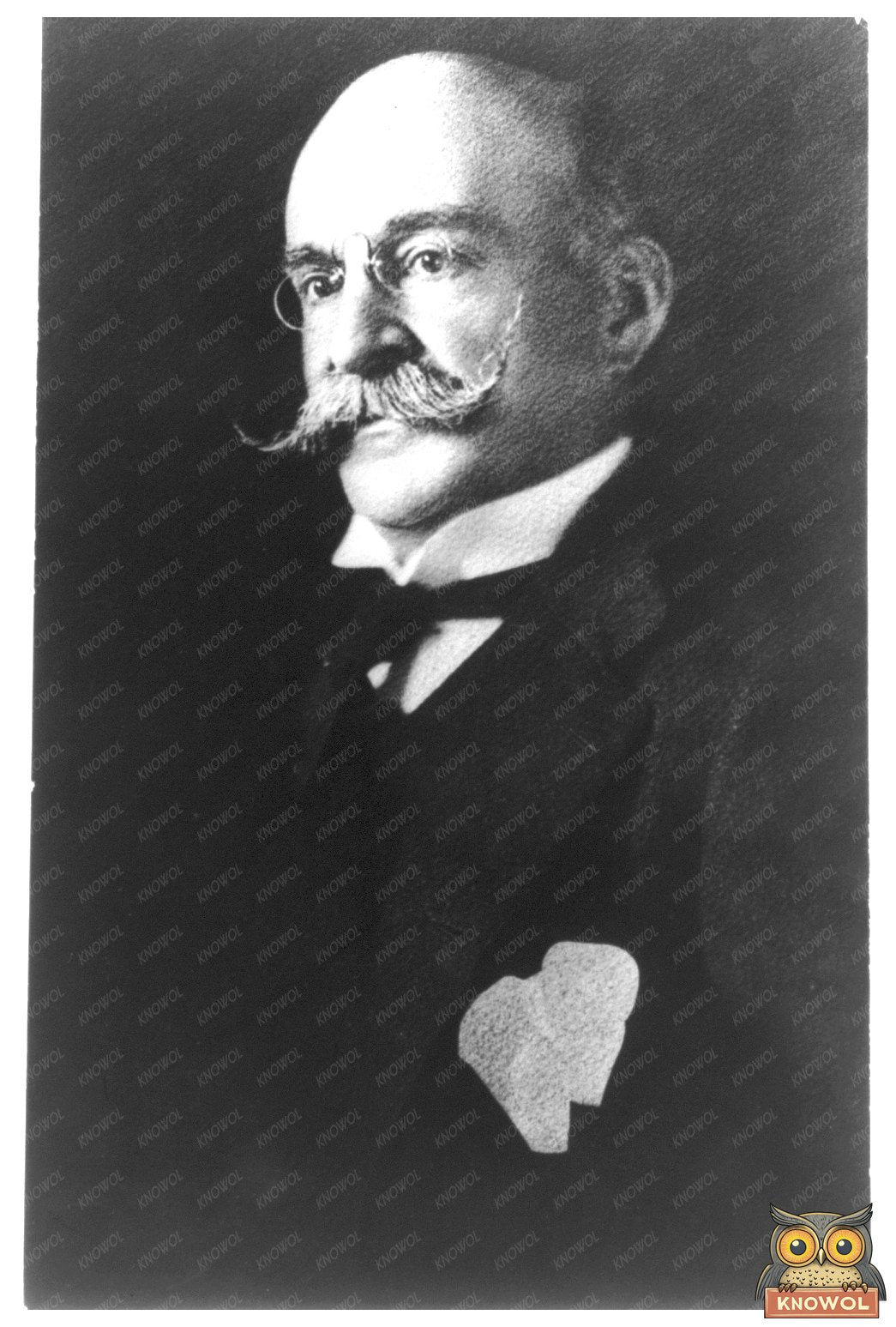 Portrait of John Randolph Dos Passos, American Icon