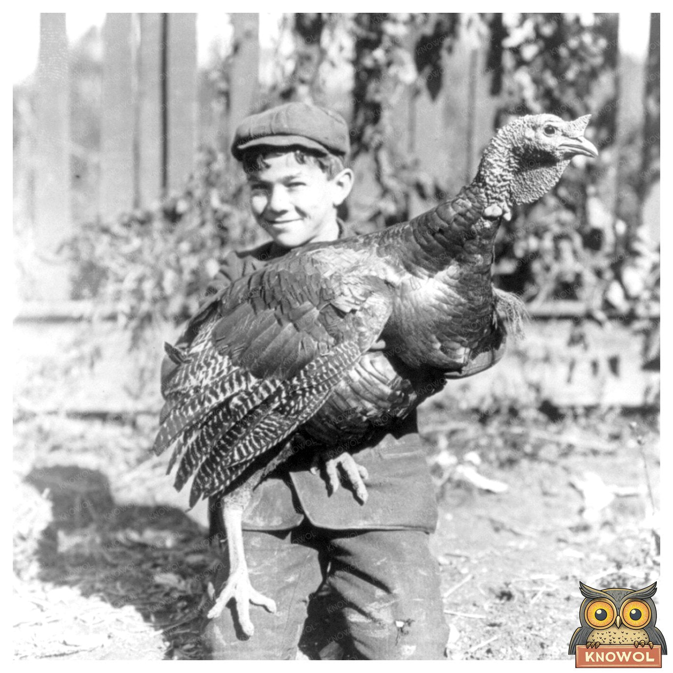 Young Boy Proudly Displaying a Grand Turkey