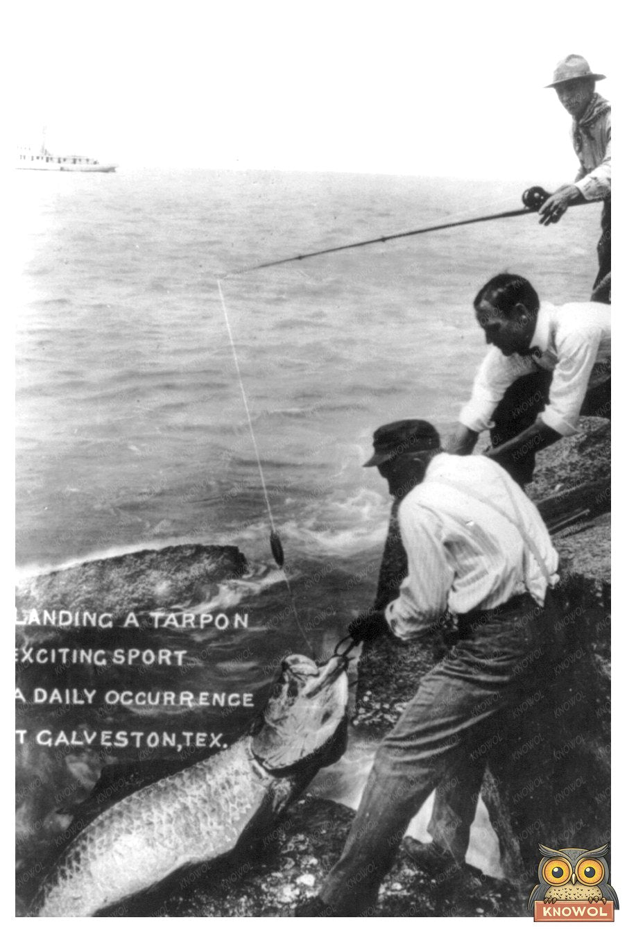 Historic Galveston Angler Triumphs Over Majestic Tarpon