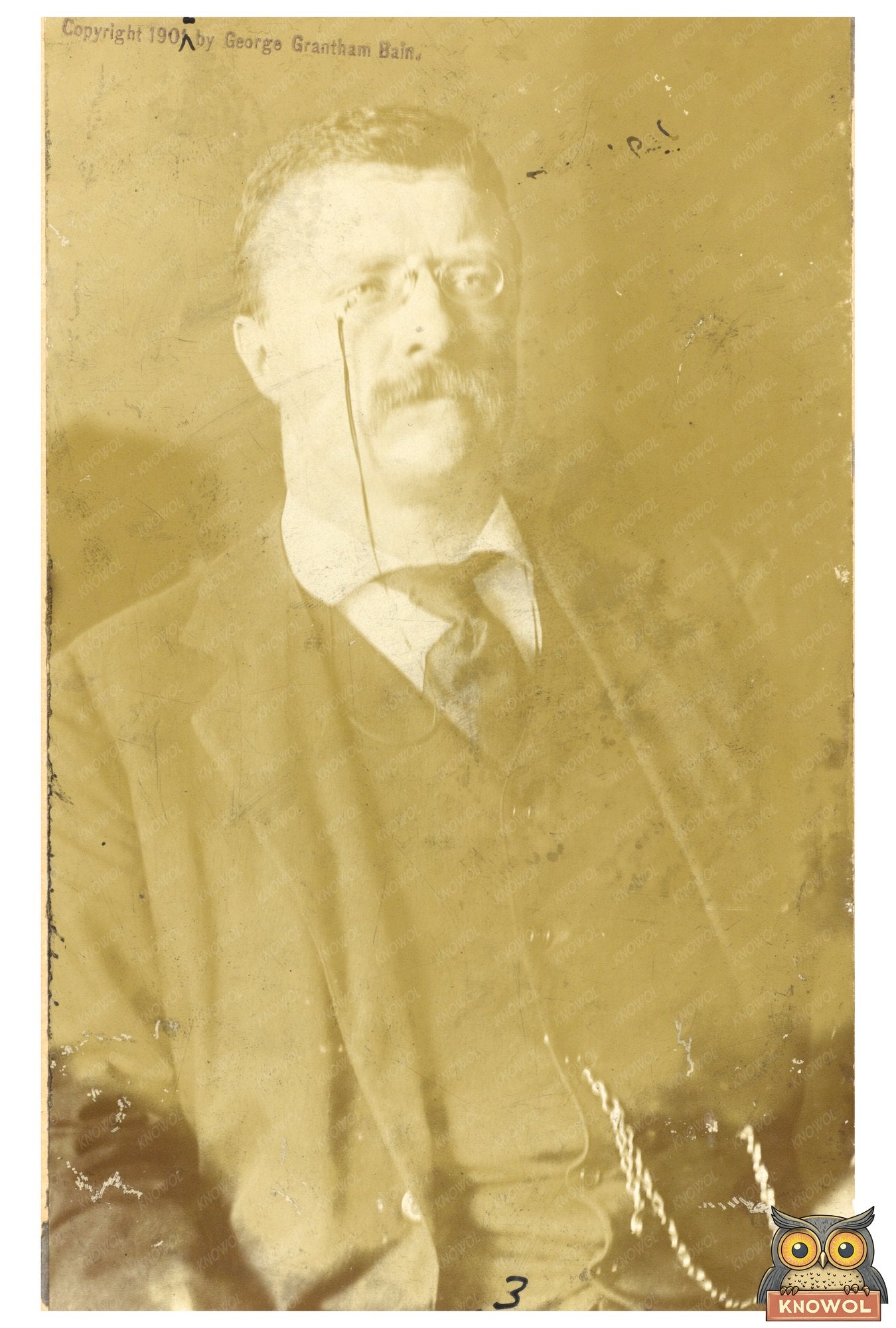Reflective Portrait of President Theodore Roosevelt, 1902