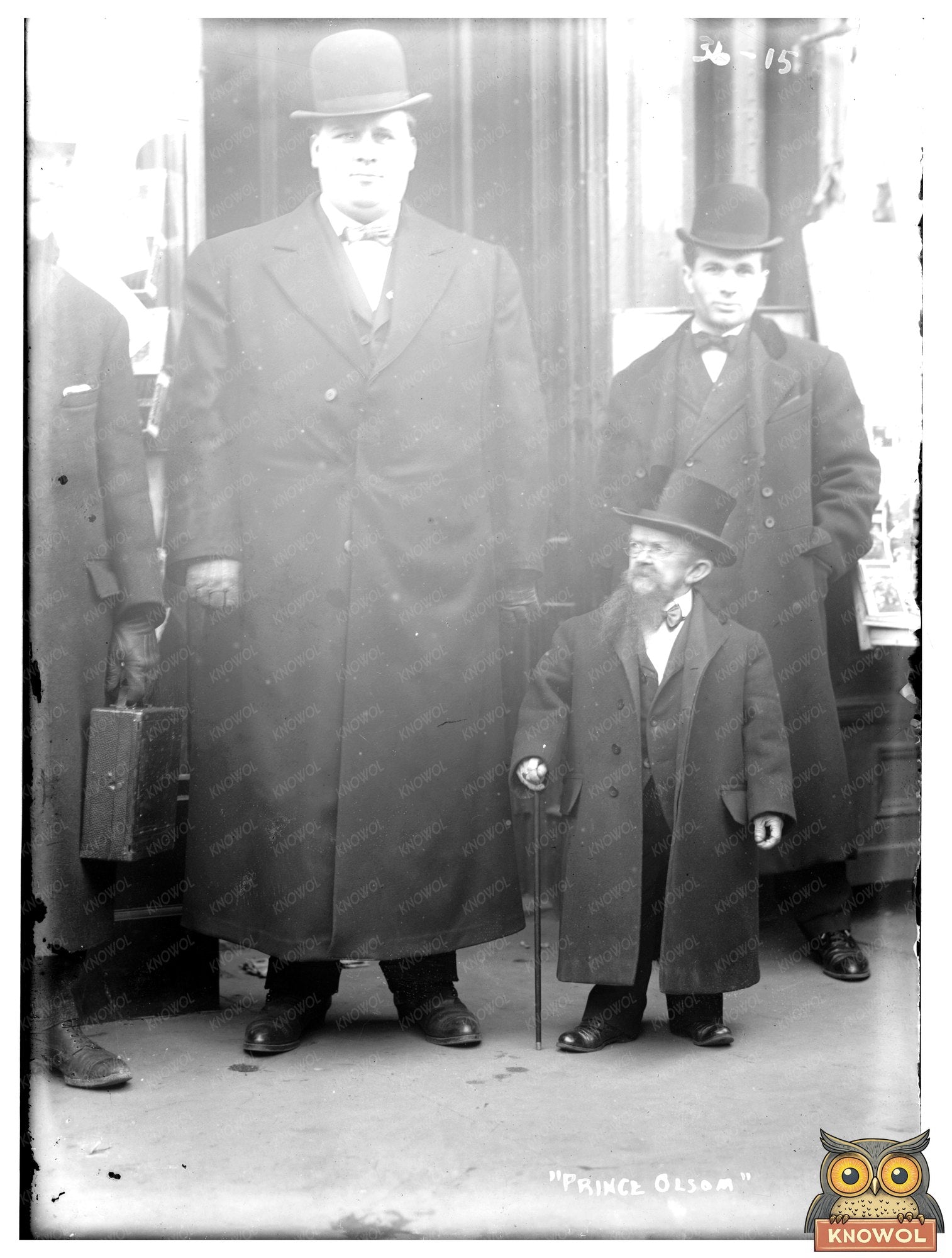 Vintage Portrait of an Early 20th Century Aristocrat