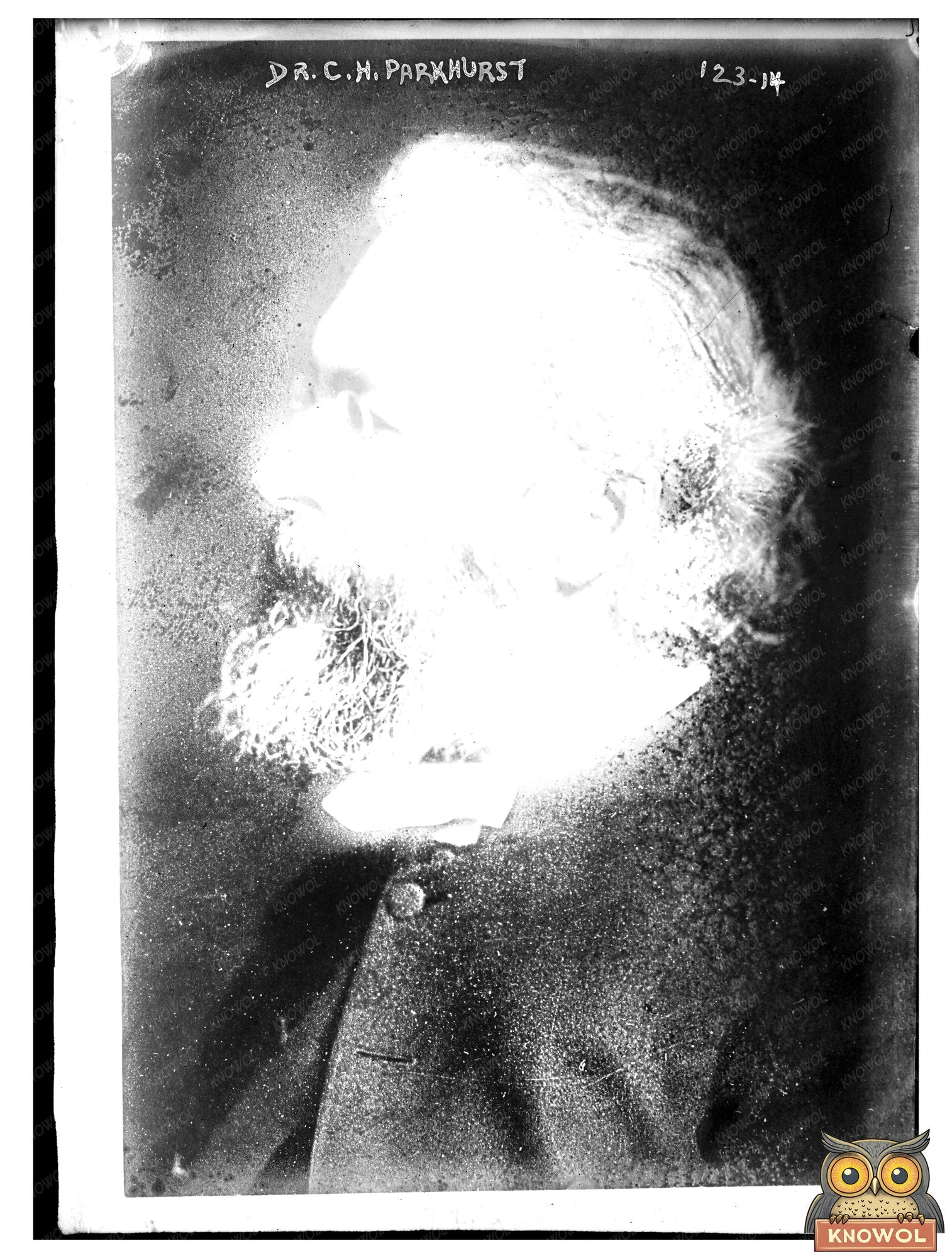 Influential Social Reformer: Dr. Parkhurst Portrait