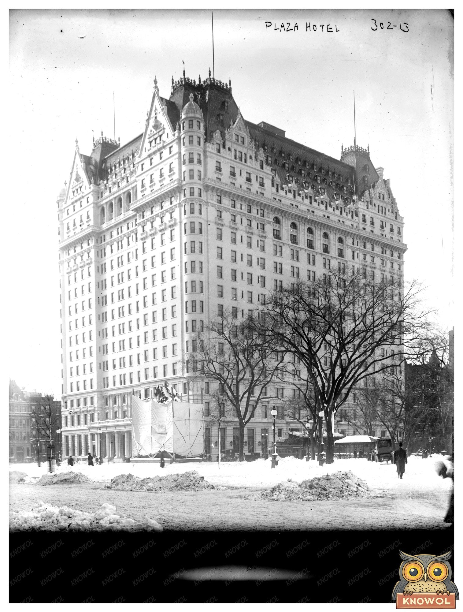 Timeless Elegance: The Iconic Plaza Hotel in NYC