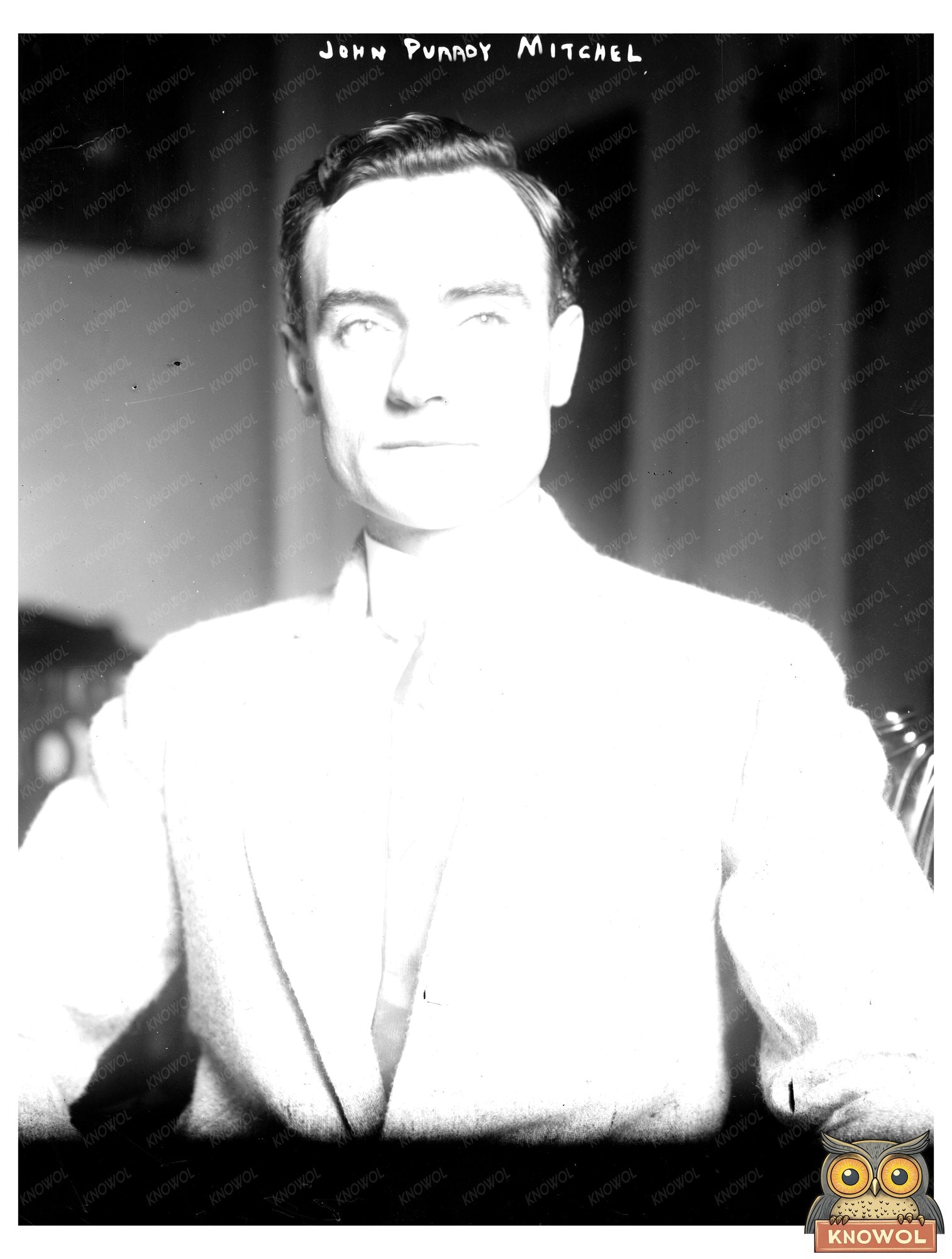 Progressive Mayor John Purroy Mitchel in Portrait