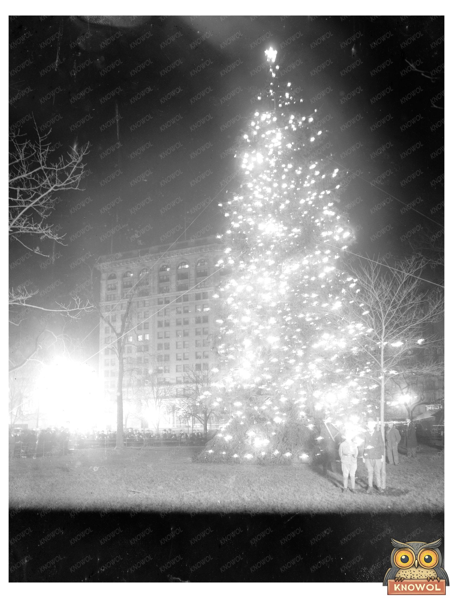 Festive Christmas Tree Glows in Madison Square