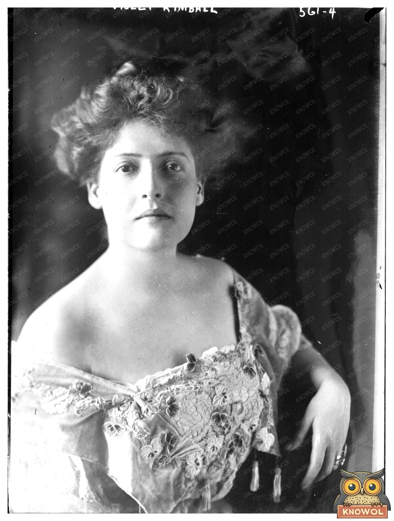 Elegant Portrait of an Early 20th Century Woman