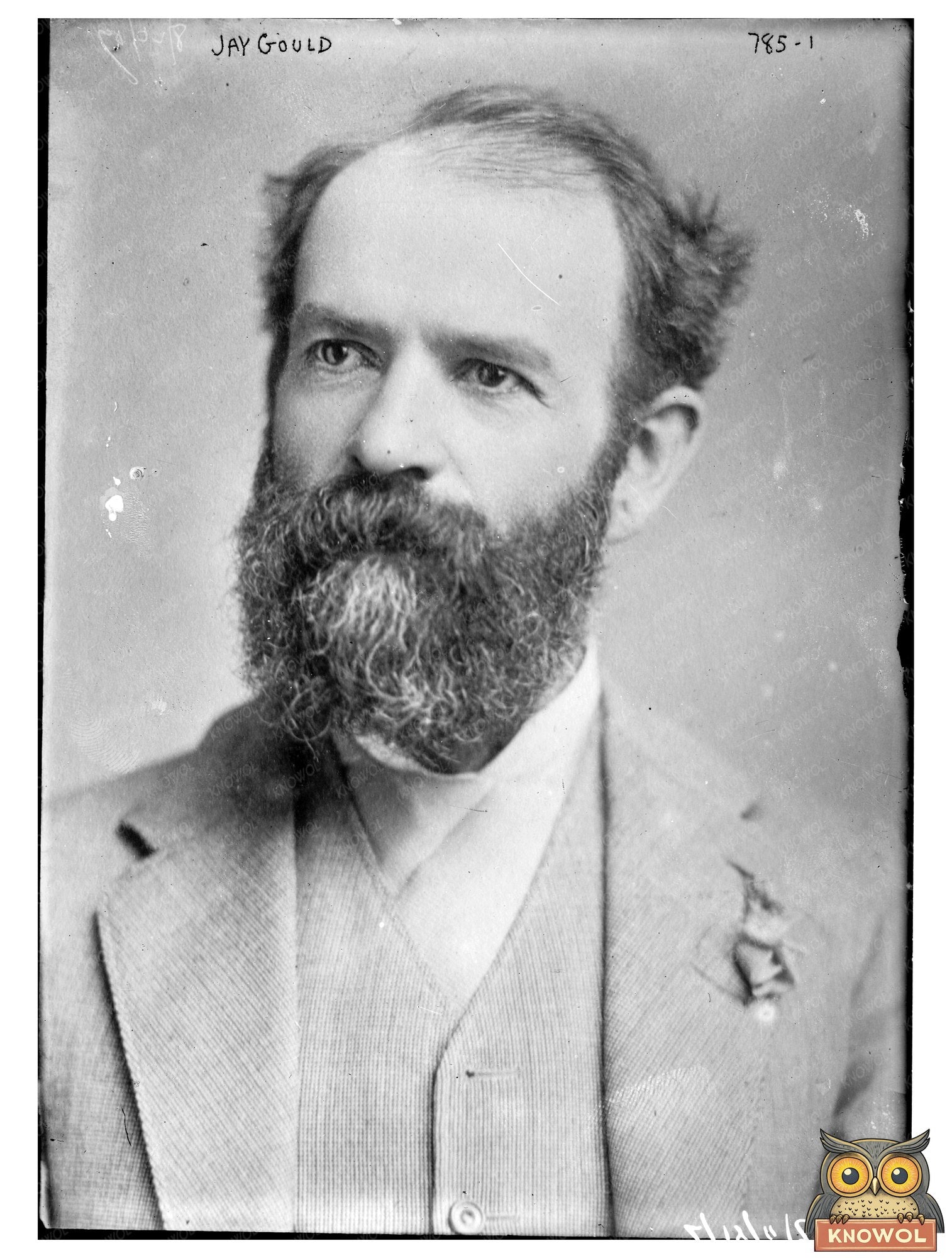 Portrait of Jay Gould: 19th Century Railroad Tycoon