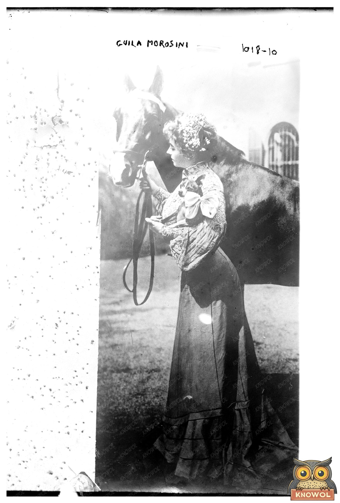Graceful Equestrian & Horse Bond in Timeless Portrait