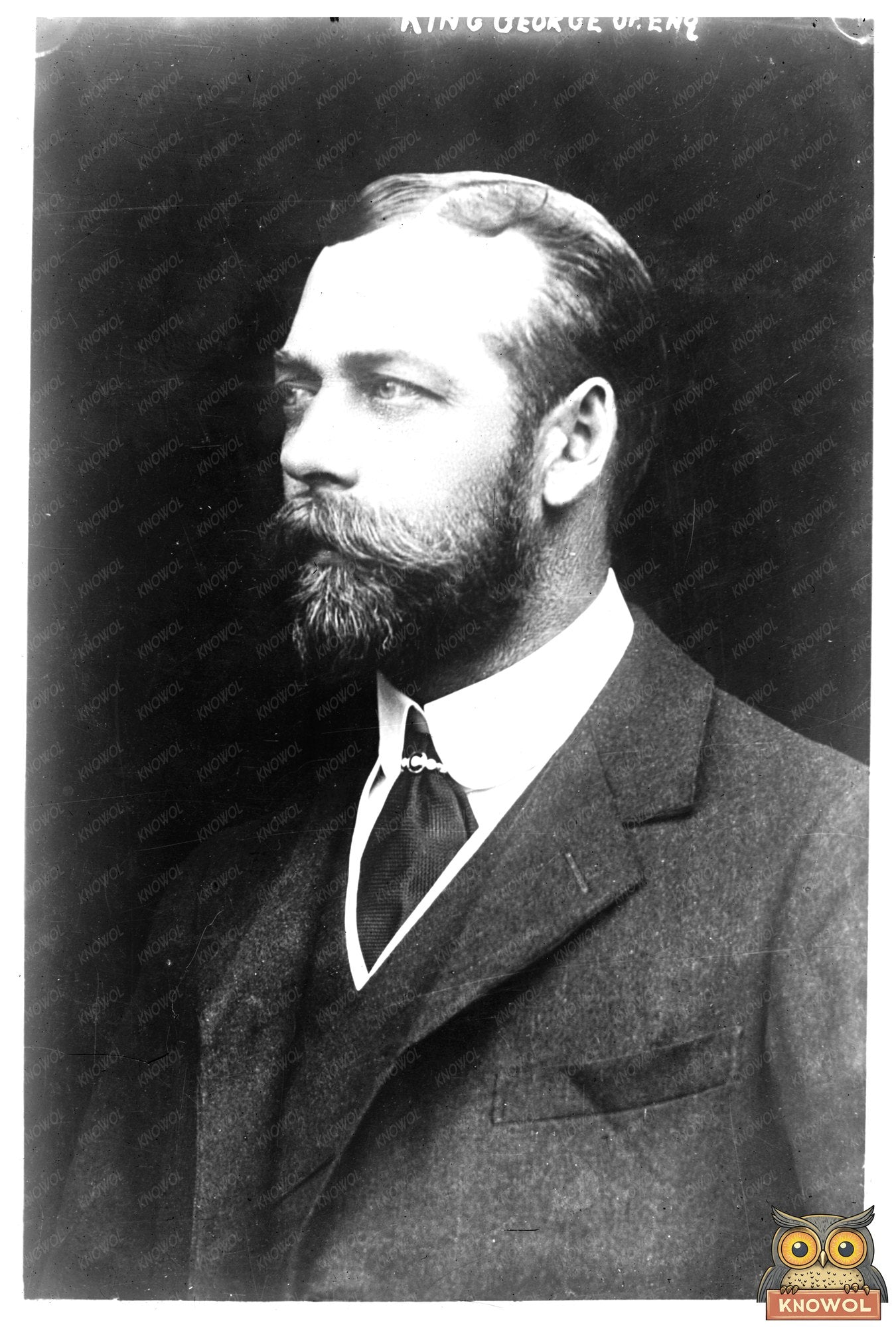 Regal Portrait of King George V, British Monarch