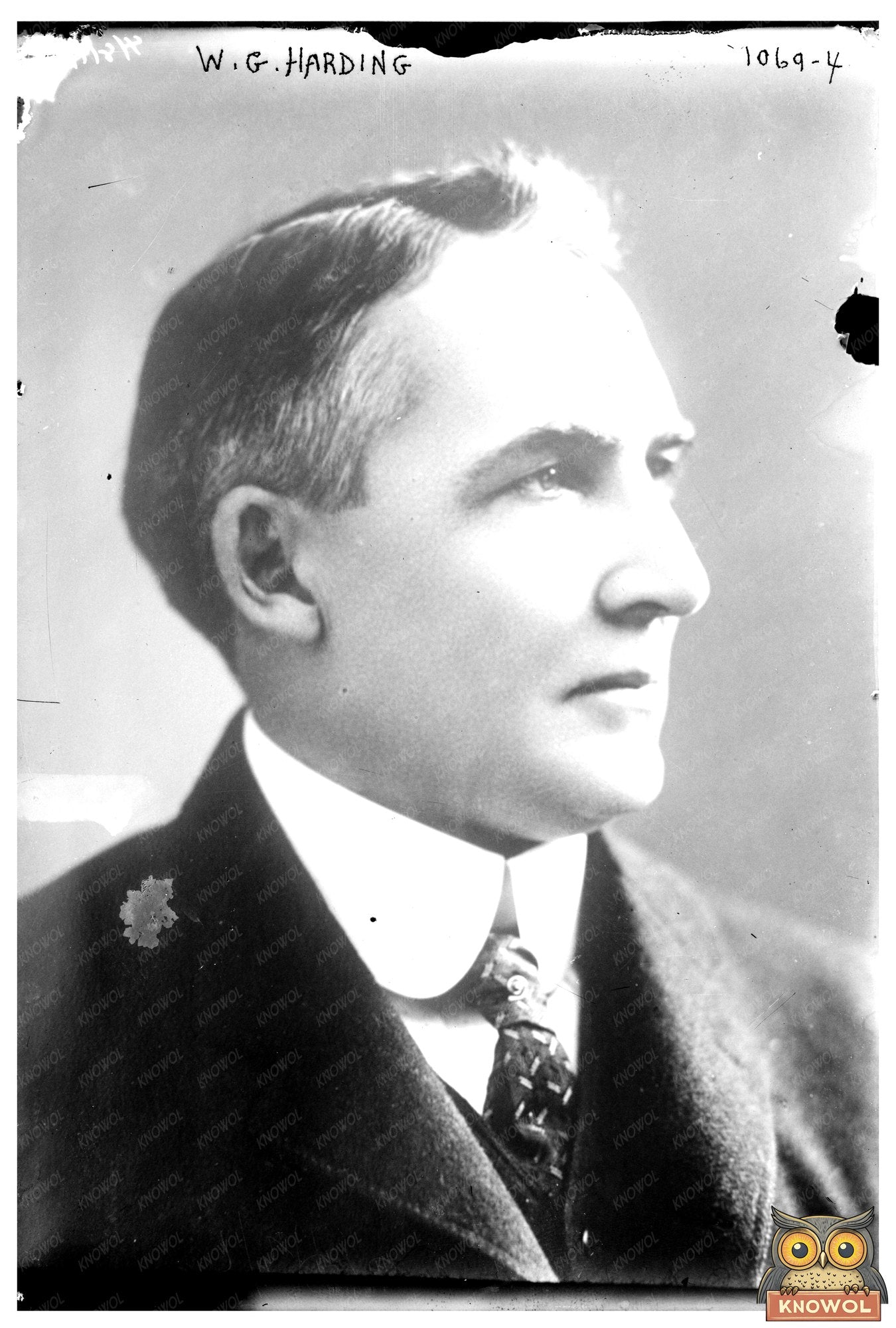 William G. Harding: 29th President of the United States