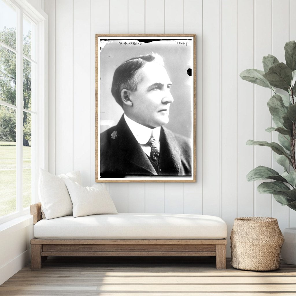 William G. Harding: 29th President of the United States