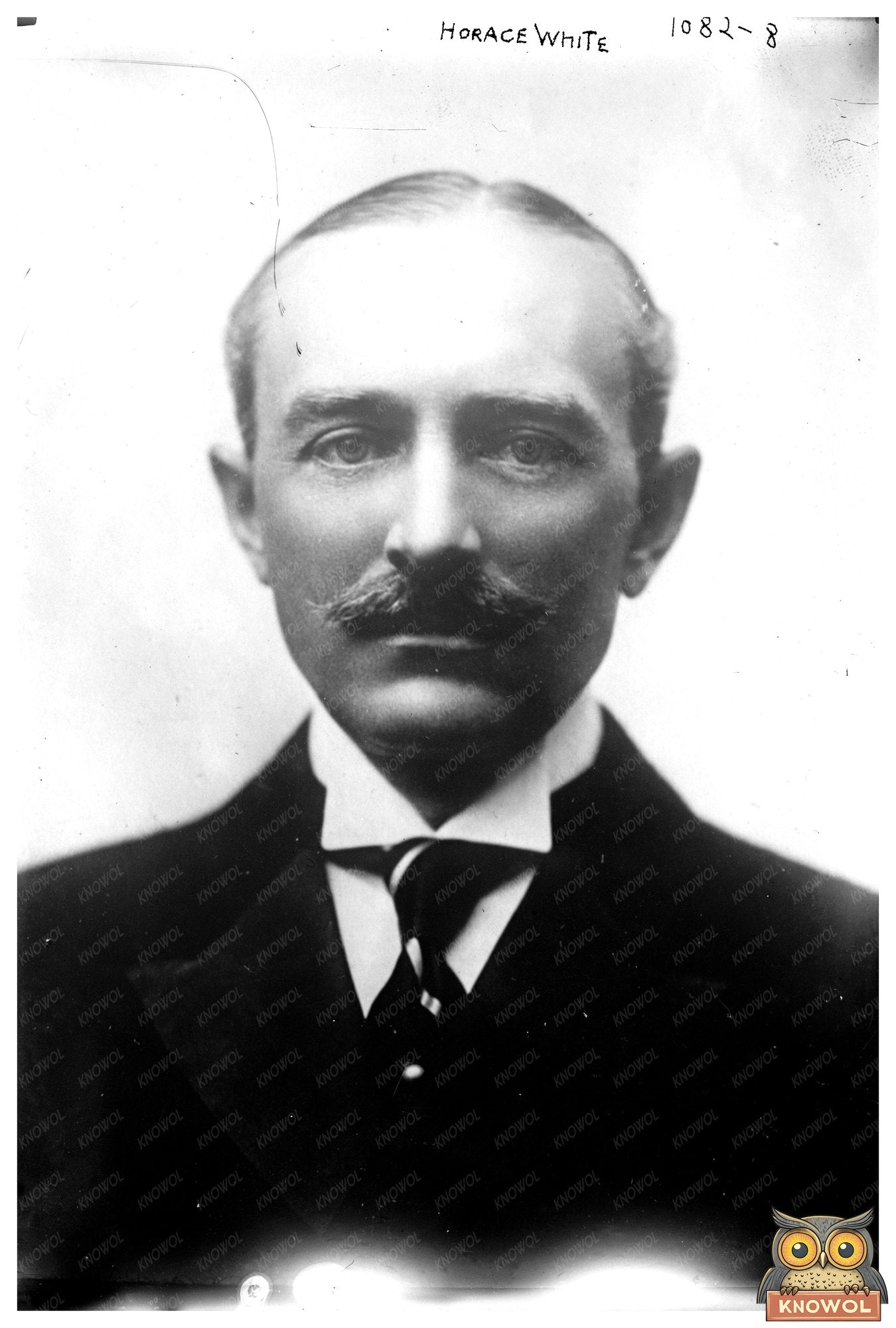 Portrait of Horace White: Pioneer of American Journalism