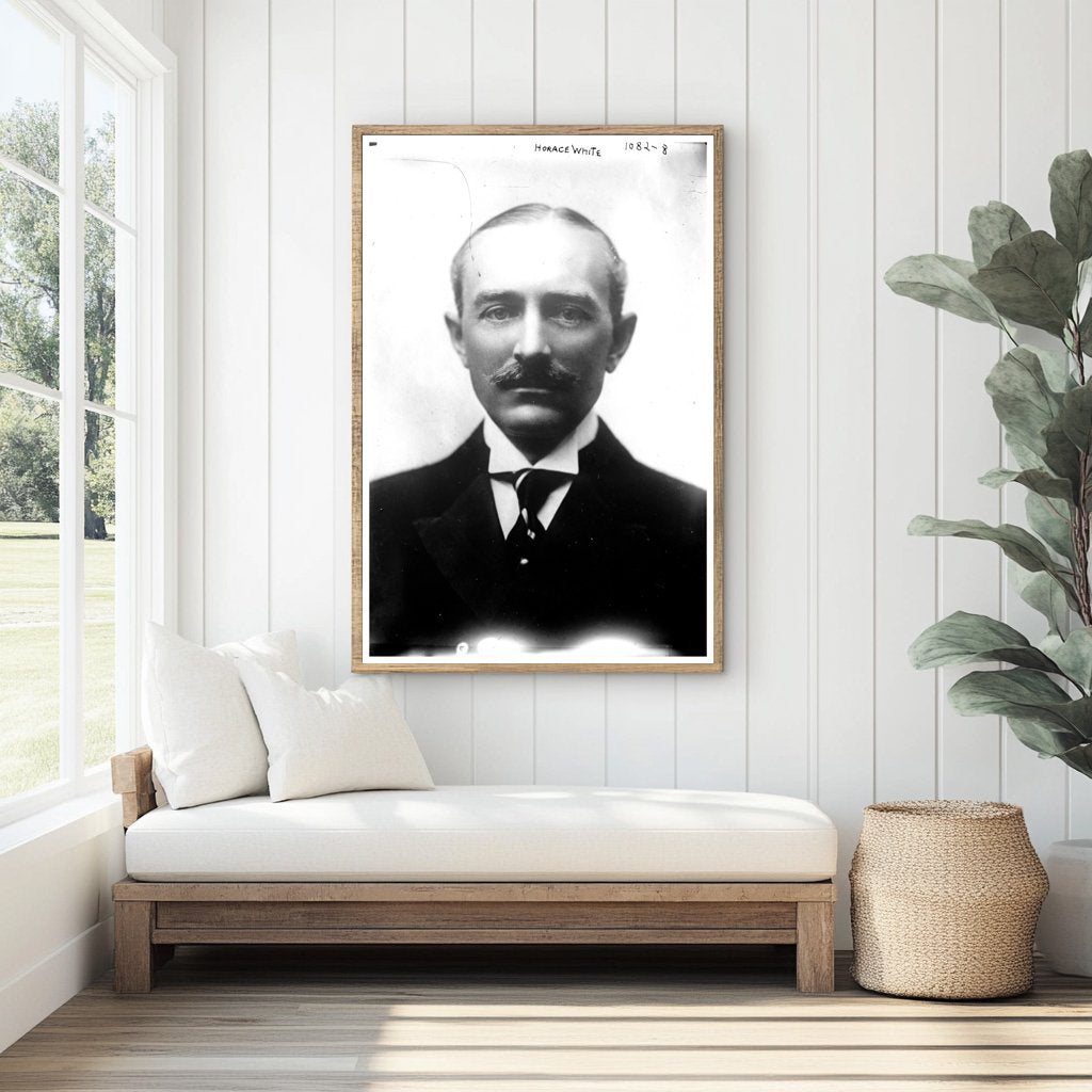 Portrait of Horace White: Pioneer of American Journalism