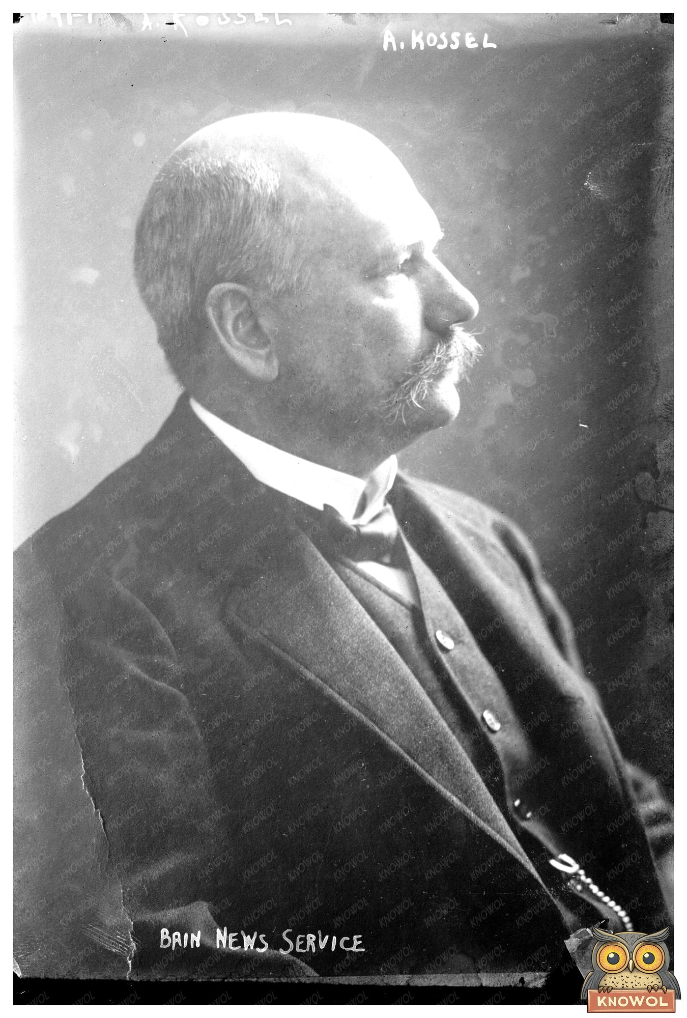 Groundbreaking Biochemist A. Kossel: Protein Pioneer