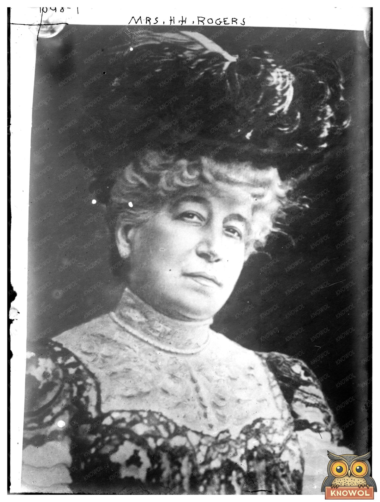 Elegant Portrait of Mrs. H.H. Rogers in Vintage Style