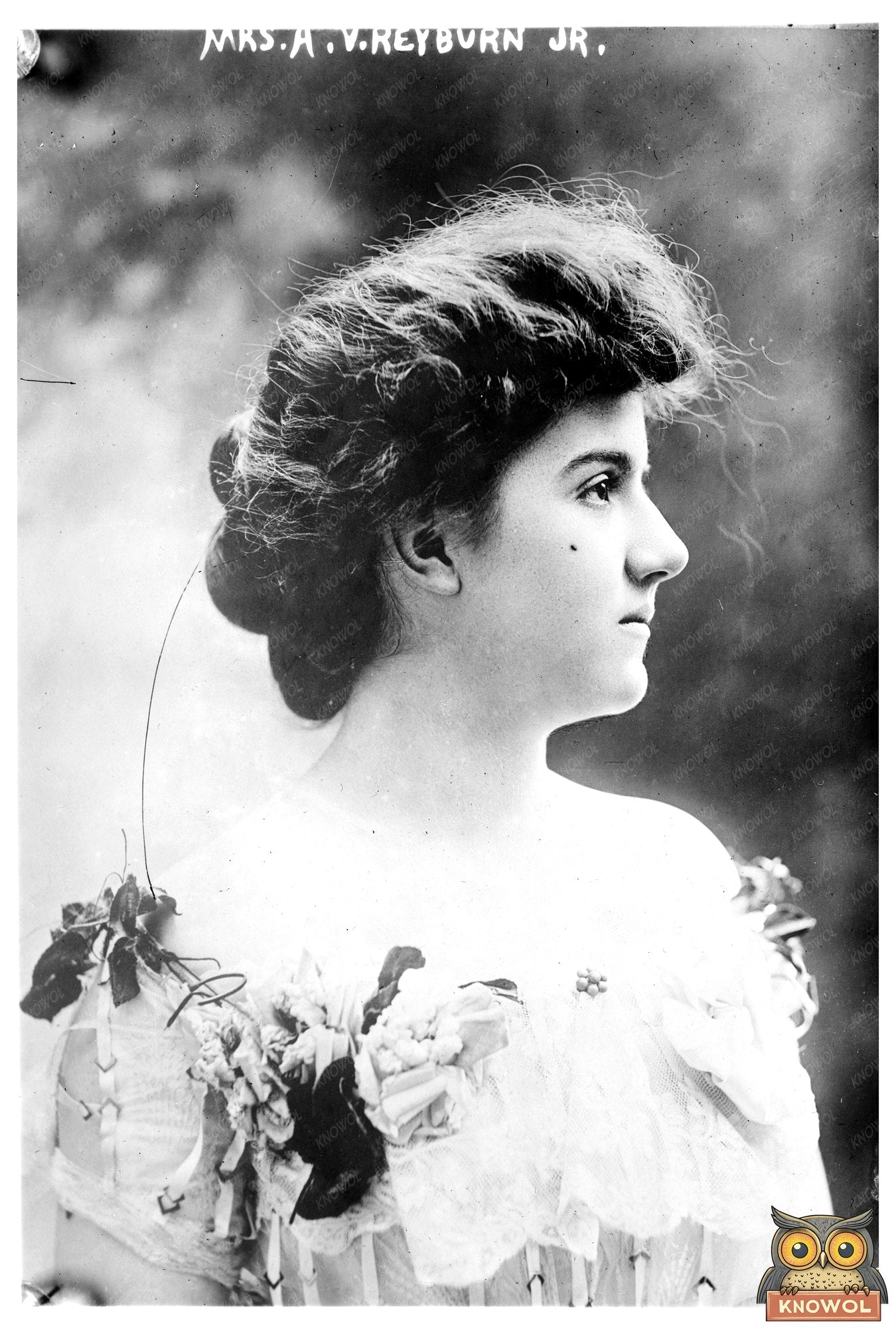 Elegant Portrait of Mrs. A.V. Heyburn, Jr. in Style