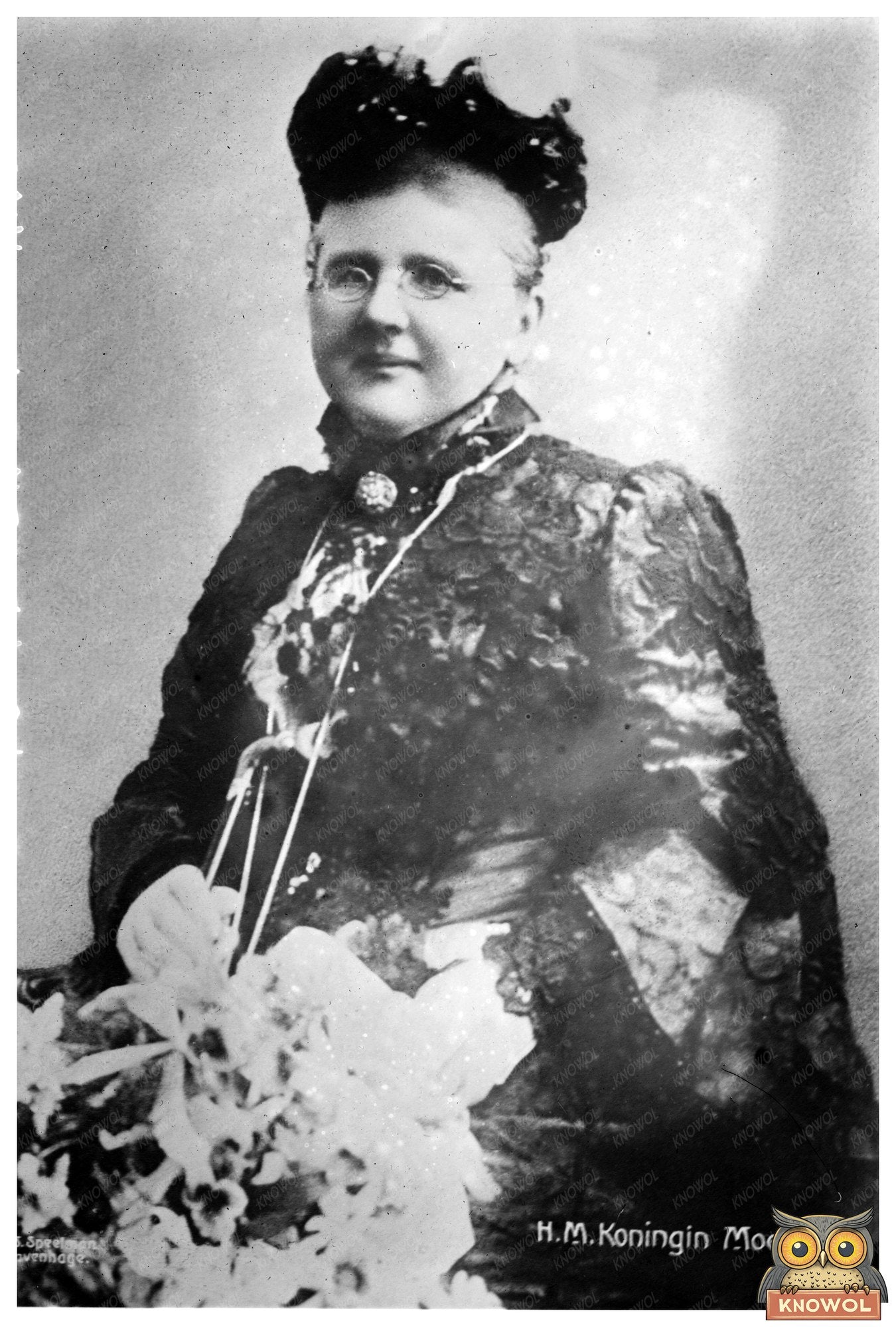 Elegant Portrait of Hollands Royal Dowager Queen
