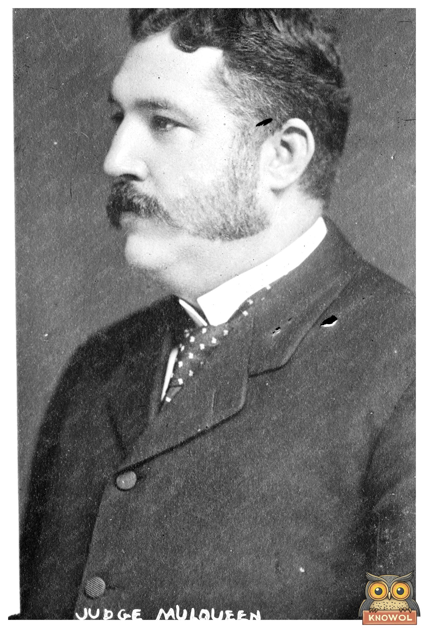 Portrait of Renowned Judge Mulqueen in Historic Elegance