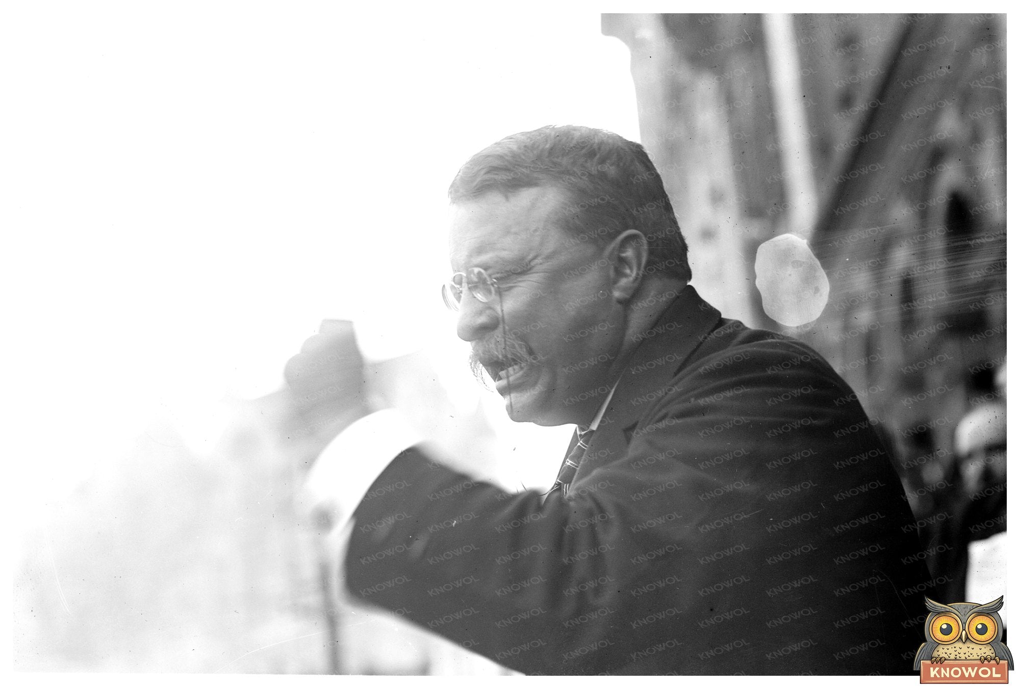 Theodore Roosevelt: Iconic Presidential Portrait