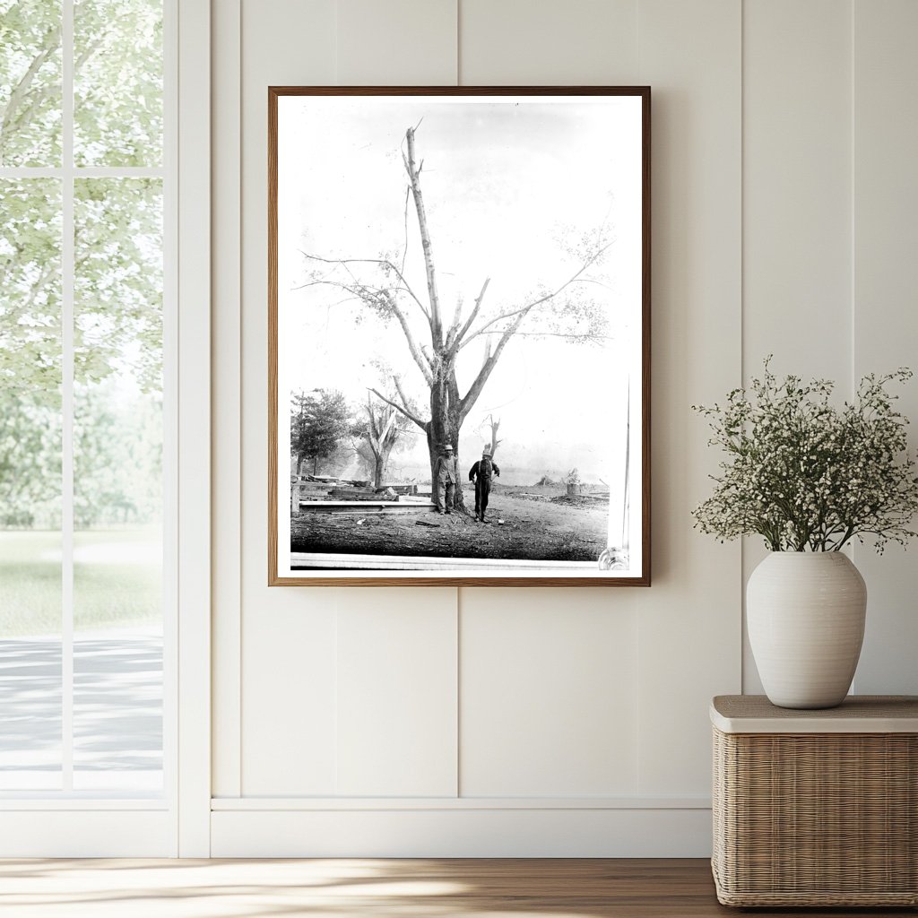 Devastated Tree After 1910 Geneva Cyclone