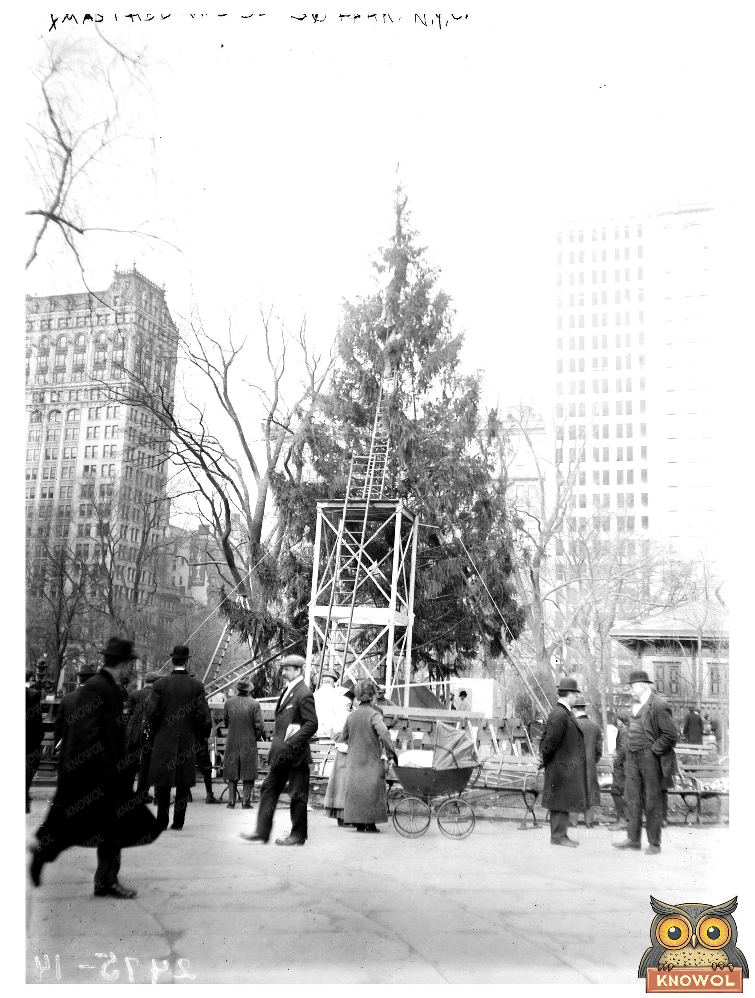Vintage Christmas Tree in Historic Madison Square Park