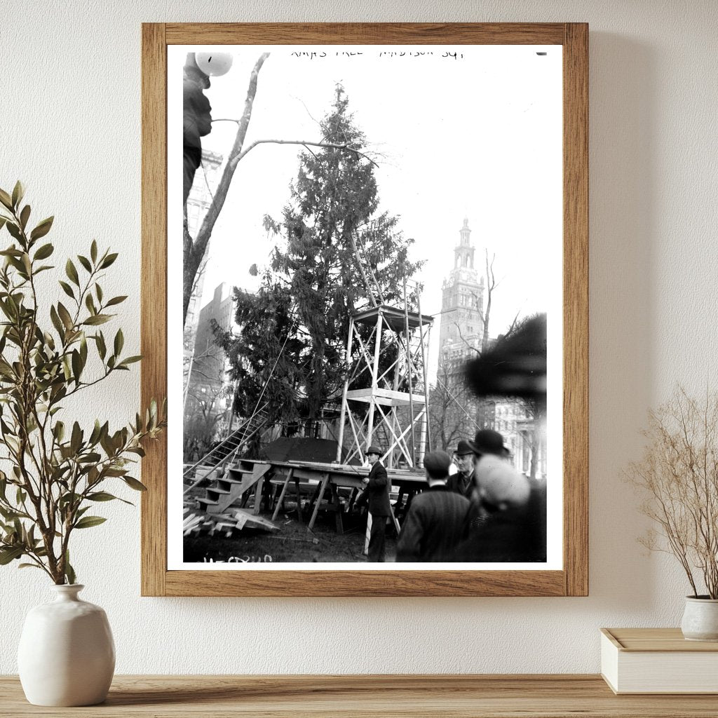 Festive Christmas Tree in Madison Square, NYC Circa 1910