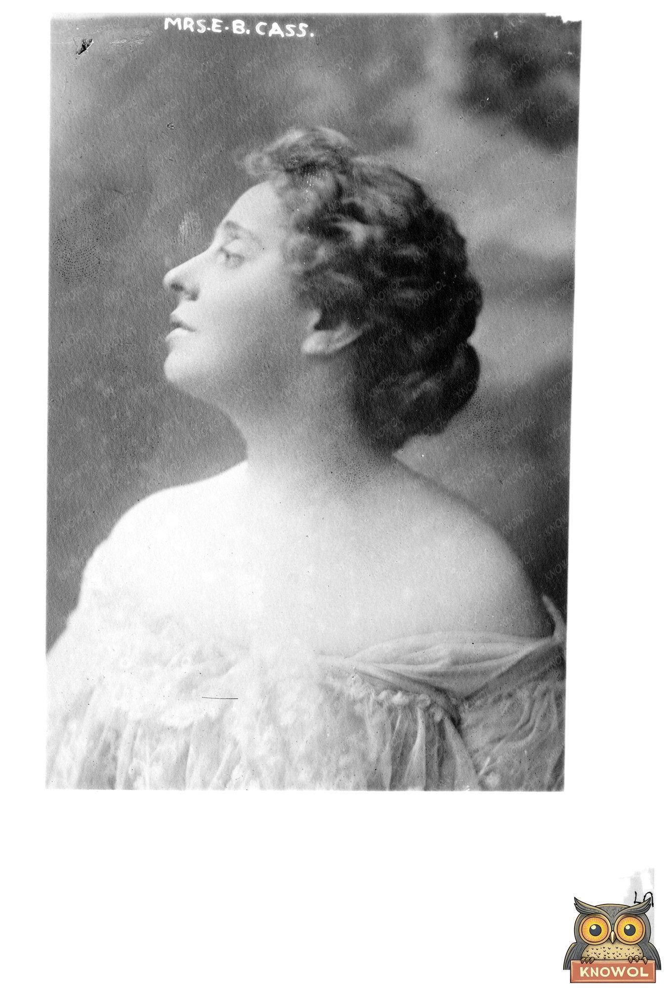 Elegant Early 1910s Portrait of Mrs. E. B. Cass