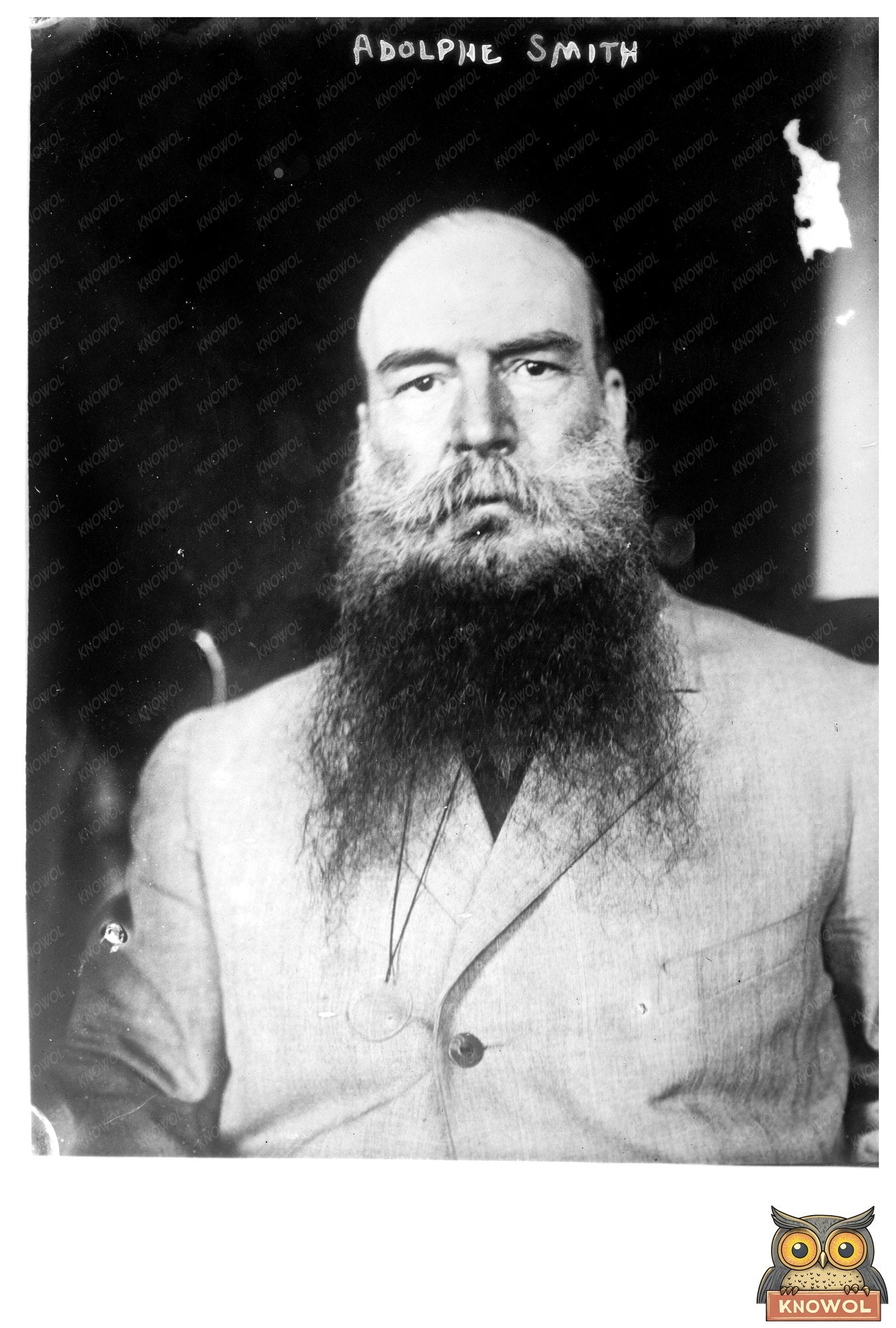 Early 20th Century Portrait of a Visionary Journalist
