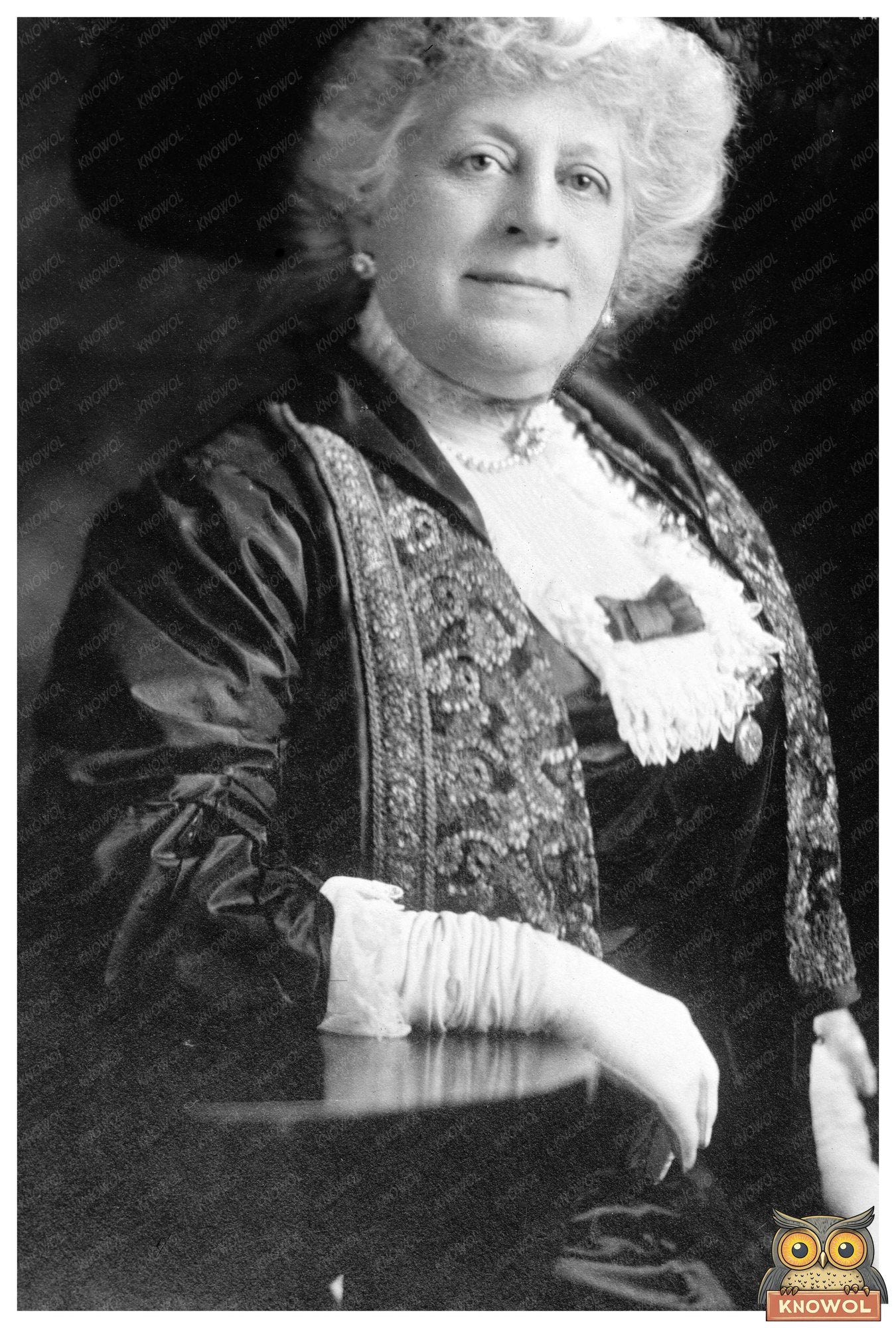 Elegant Portrait of a 1913 Society Matron