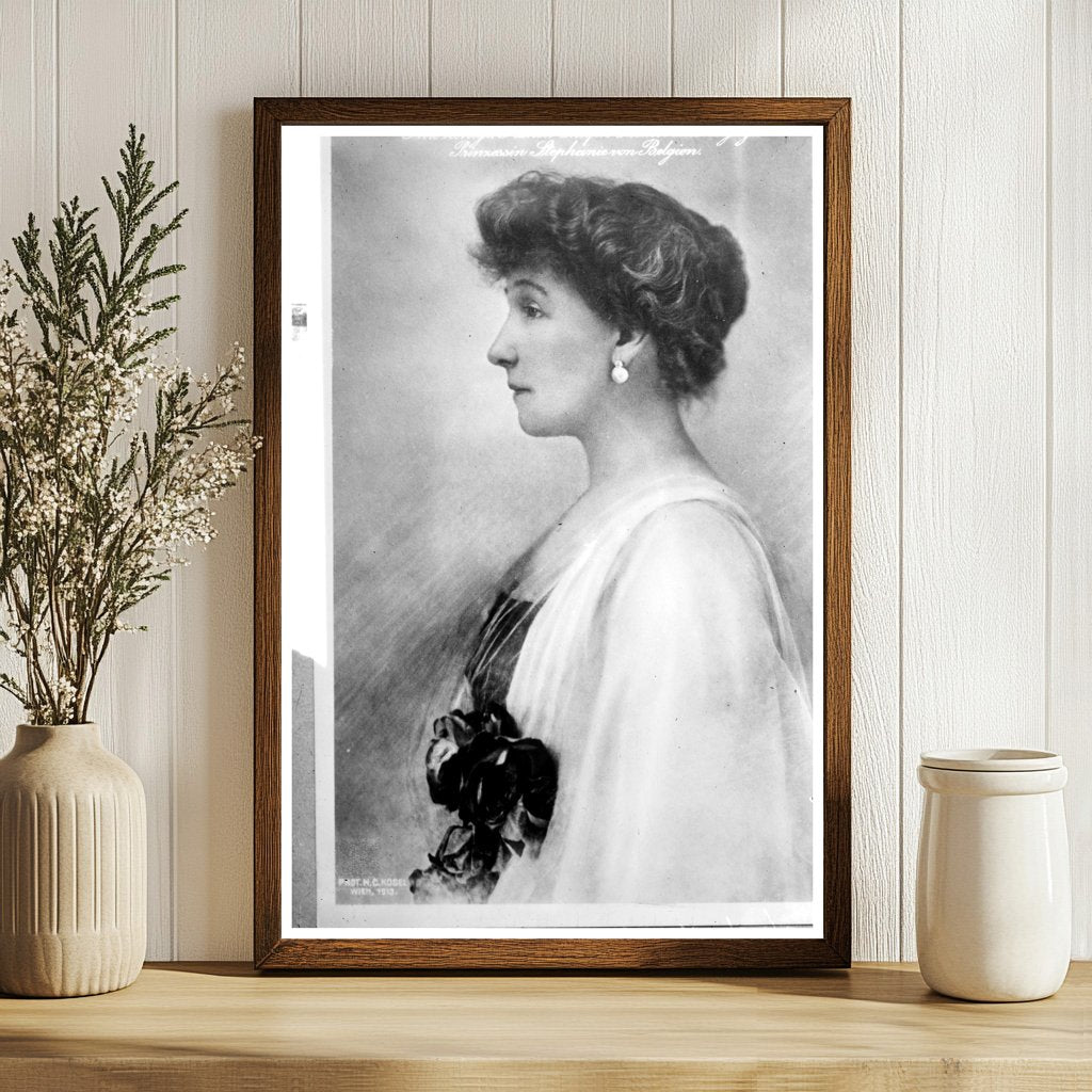 Elegant Portrait of Countess Lonyay, 1913 Vienna