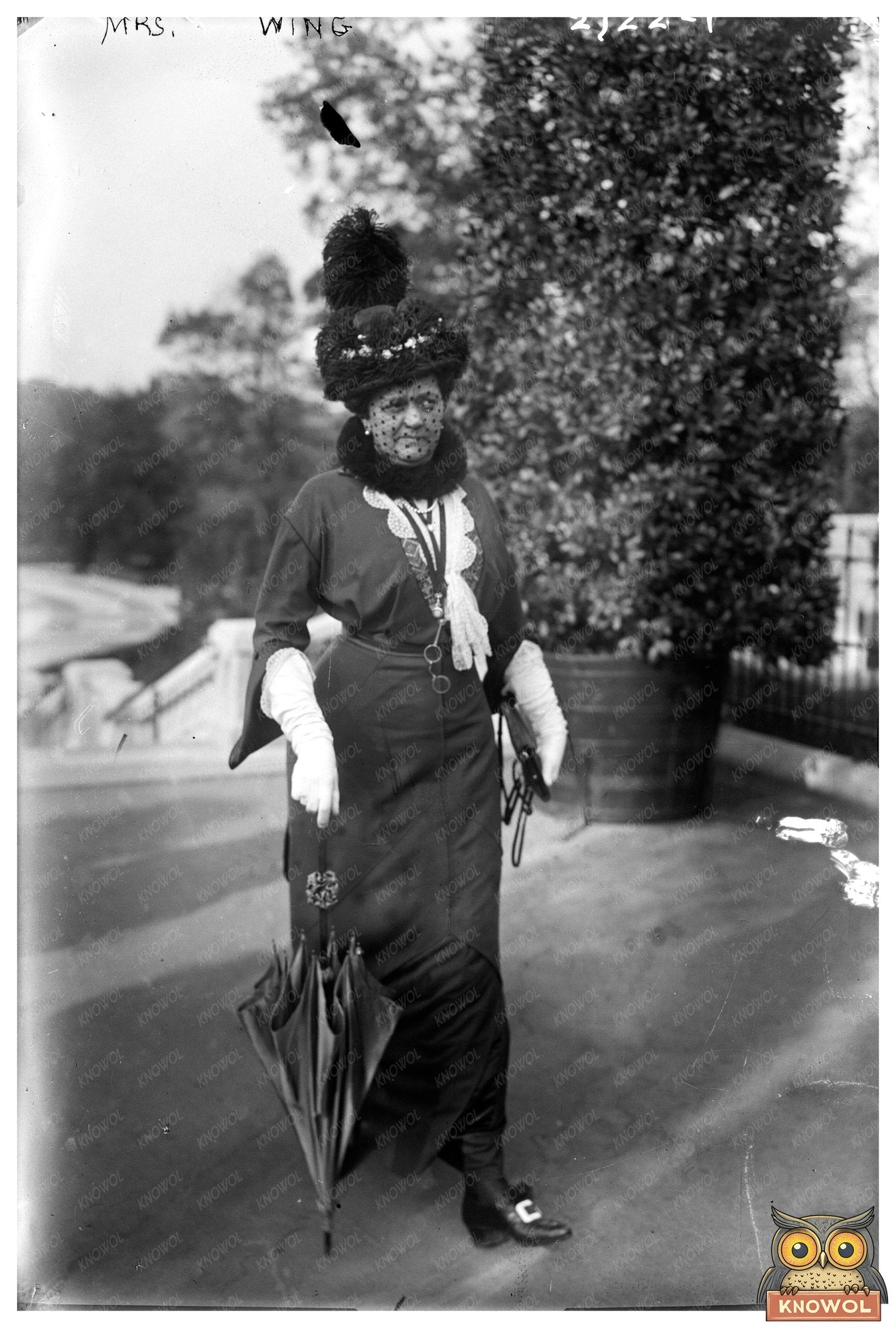 Elegant Early 1900s Portrait of Mrs. Wing