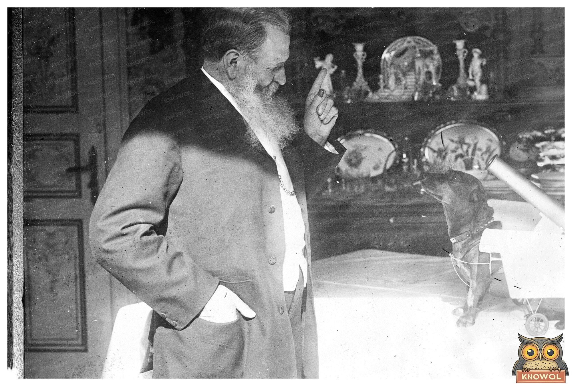 1917 Soldiers Best Friend: The Loyal War Dog