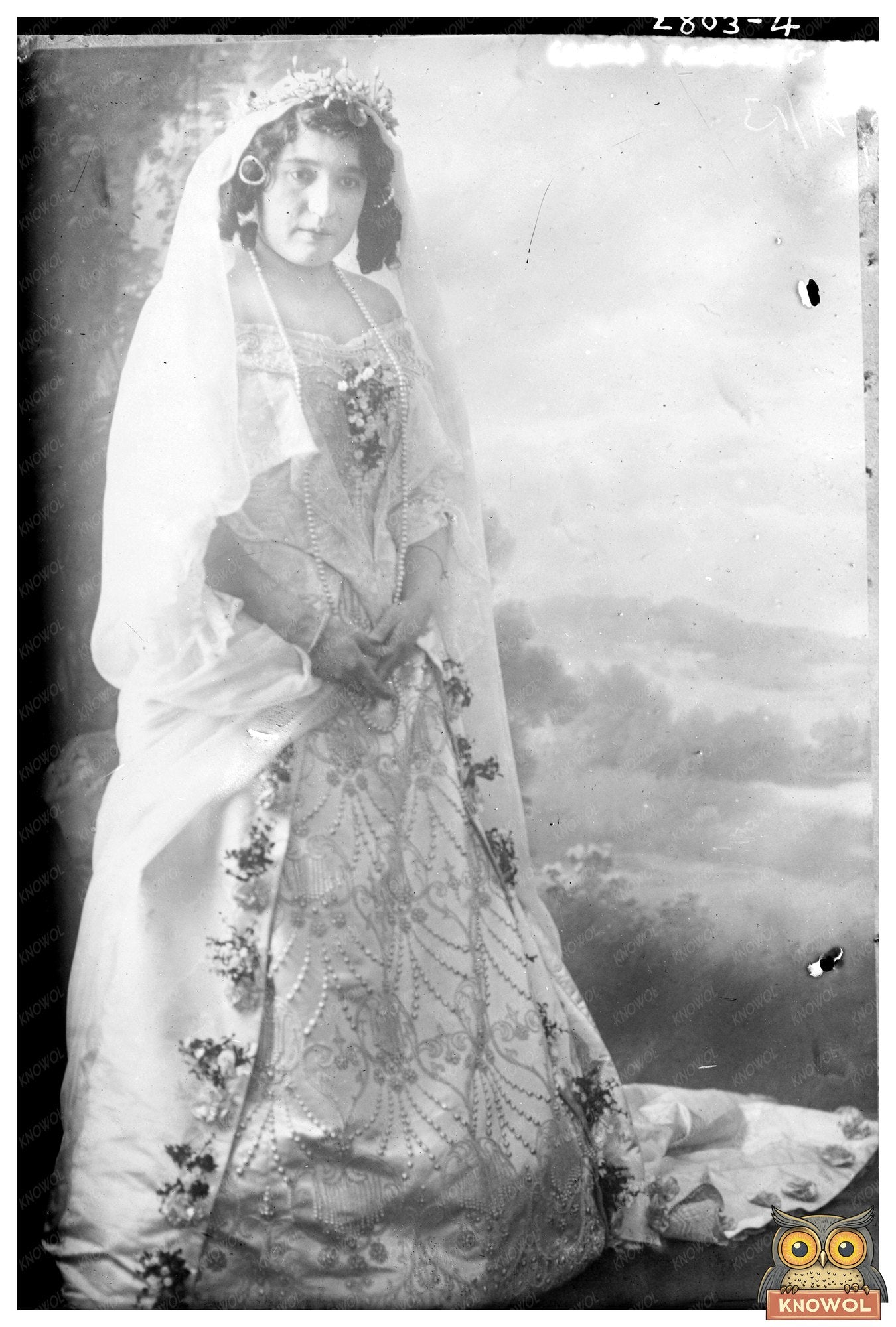 Elegant Portrait of a Young Woman, 1910s