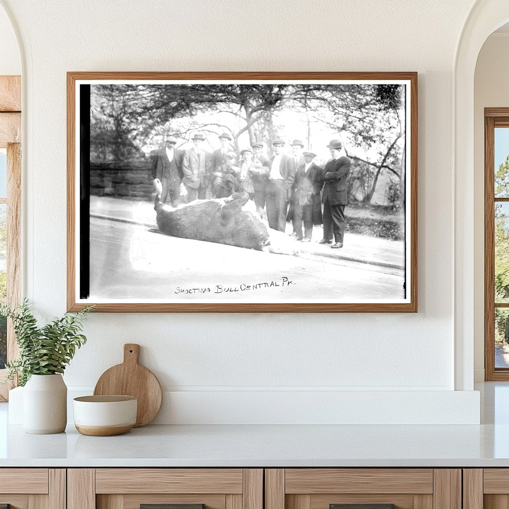 Historic Bull Shooting Event in Central Park, 1913