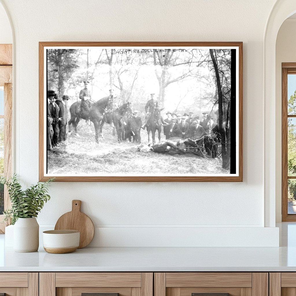 Historic Bull Shooting Event in Central Park, 1913