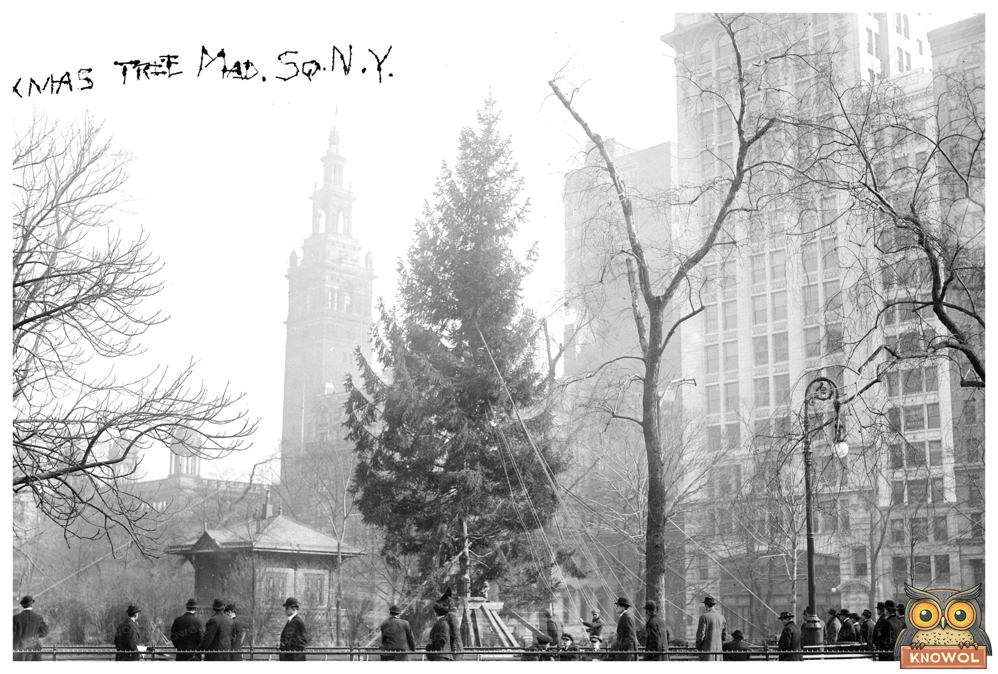 Vintage Christmas Tree in Historic Madison Square, 1910s